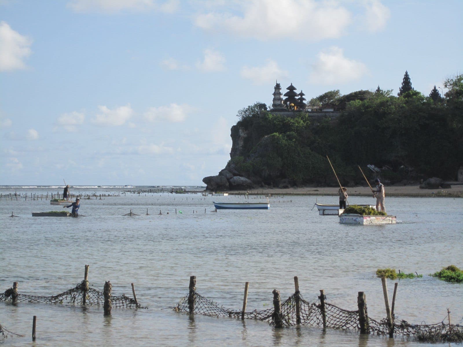 Seaweed farmers visible at low tide in Geger Beach, Nusa Dua