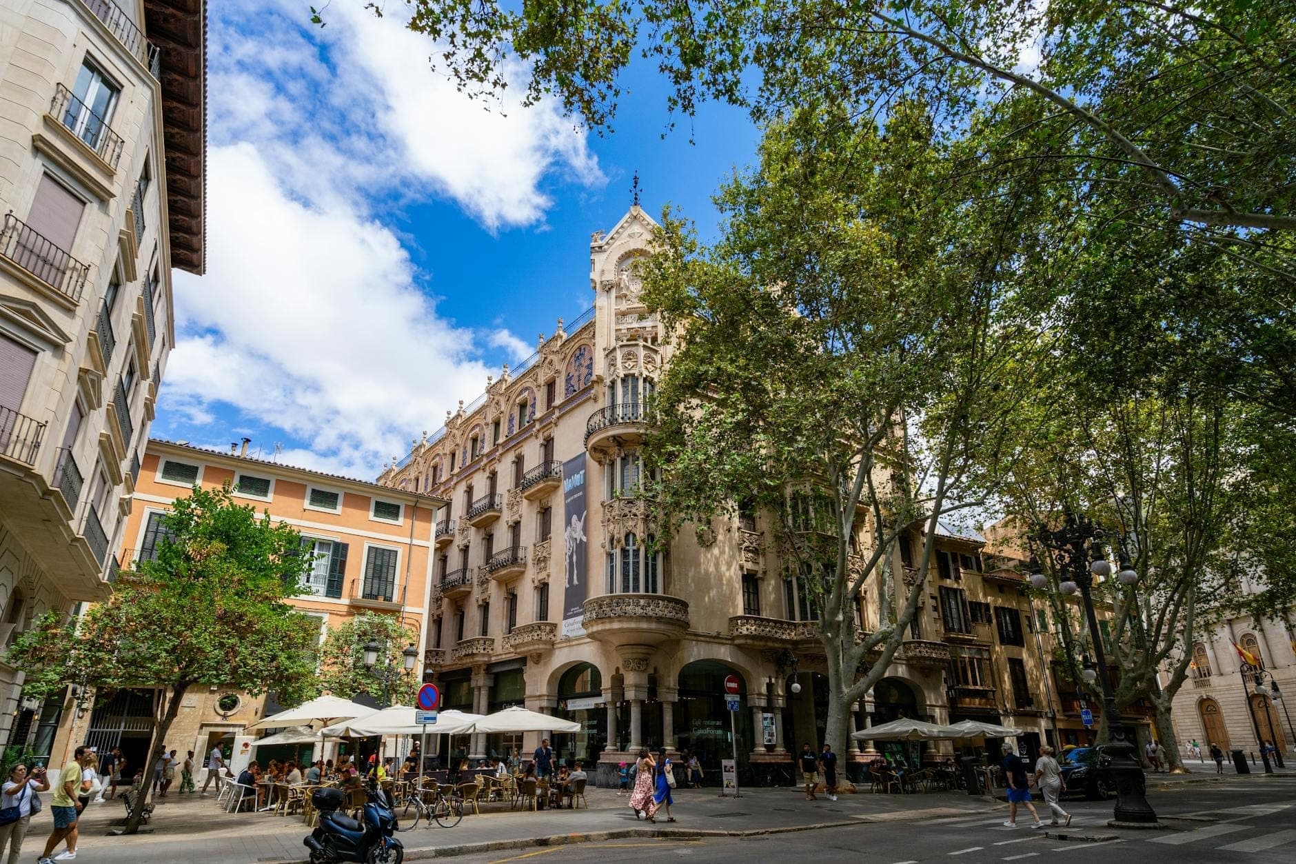 Центр Palma de Mallorca с уличными кафе, людьми, историческими зданиями и густыми деревьями на оживлённом городском перекрёстке.