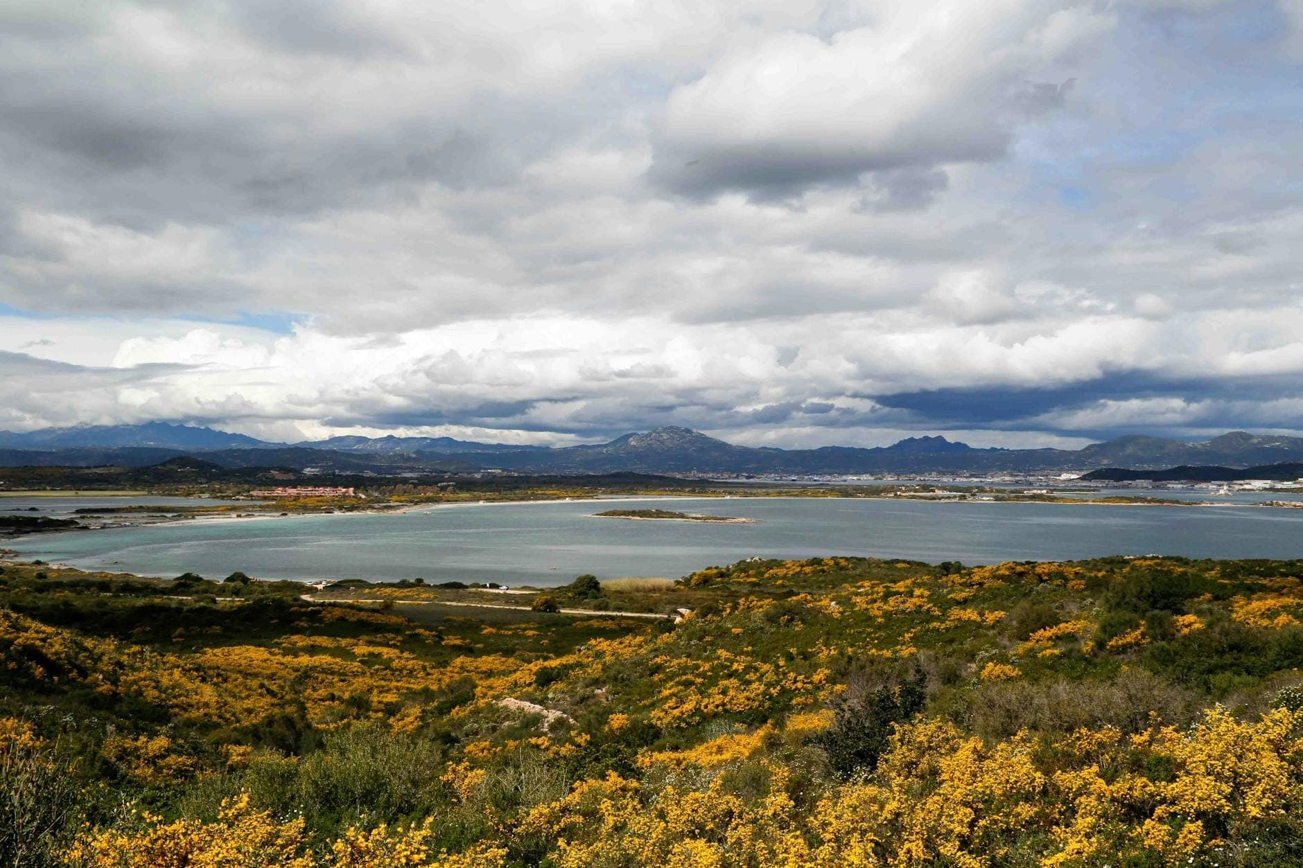 Vista amplia de una bahía y un pueblo costero rodeado de arbustos con flores amarillas, posiblemente cerca de un aeropuerto, bajo un dramático cielo nublado en Cerdeña.