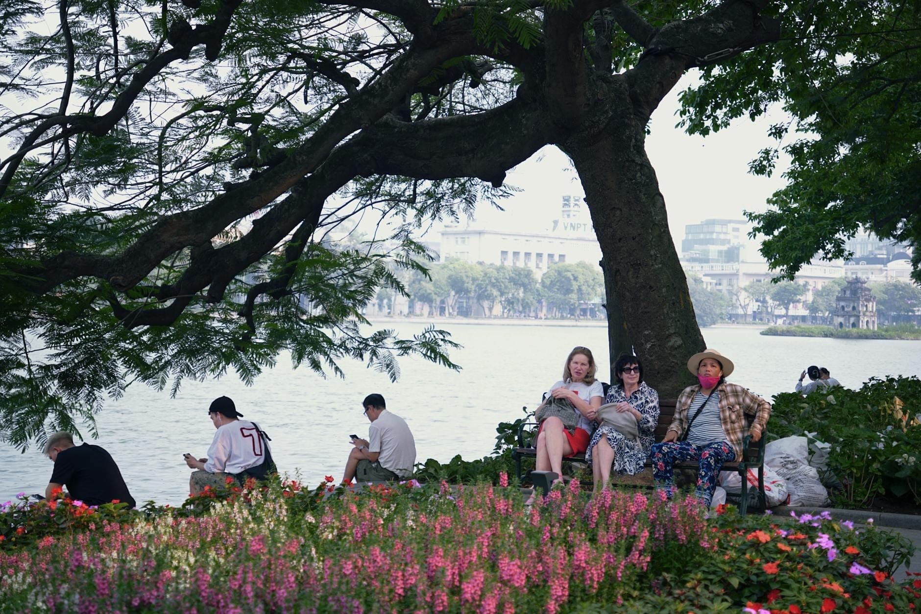 Odwiedzający odpoczywają na ławkach pod dużym drzewem, otoczeni kolorowymi kwiatami w Ogrodzie Botanicznym w Hanoi z spokojnym jeziorem w tle.