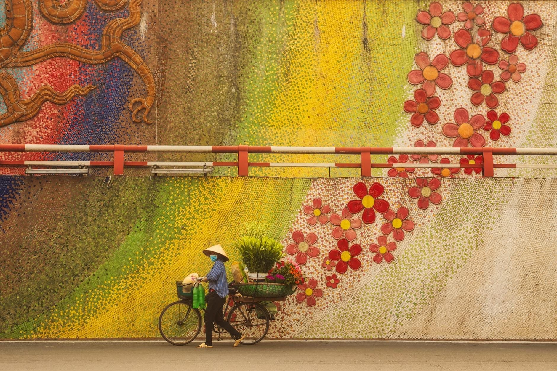 Osoba w stożkowym kapeluszu prowadzi rower załadowany roślinami i kwiatami obok barwnego fragmentu Mozaikowego Muralu Ceramicznego w Hanoi z kolorowymi kwiatami i wzorami.