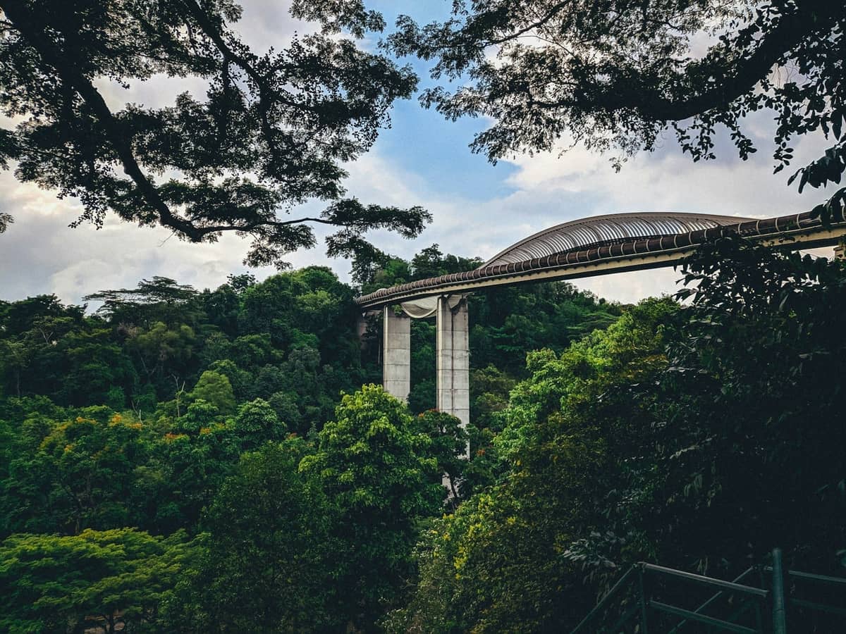 henderson-waves-singapour-guide-complet-nomado-travel