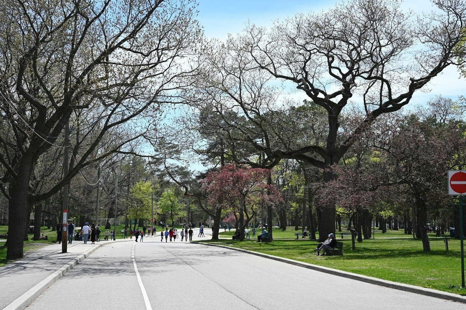 Vista ampia di una strada principale di High Park con persone che passeggiano e siedono sulle panchine sotto grandi alberi, in una giornata di sole a Toronto.