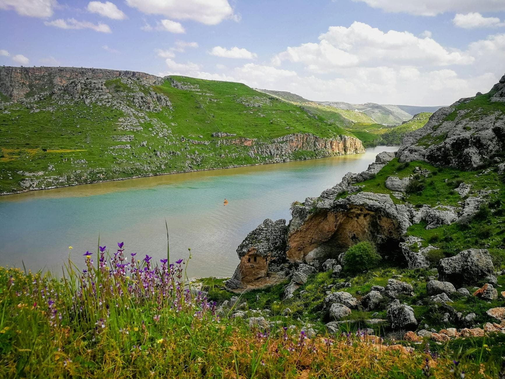 Scenic Maltese landscape with green hills, a calm river, rocky cliffs, and purple wildflowers blooming in the foreground under a bright sky.