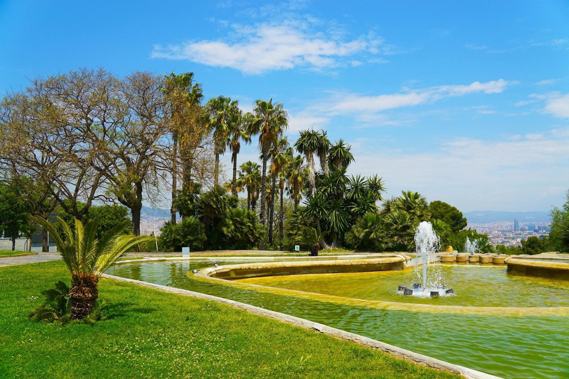 วิวสวยของสวนร่มรื่นท่ามกลางแสงแดด มีต้นปาล์ม น้ำพุ และสระน้ำ มองเห็นวิวเมืองบาร์เซโลนาในระยะไกลใต้ท้องฟ้าสีฟ้าสดใส