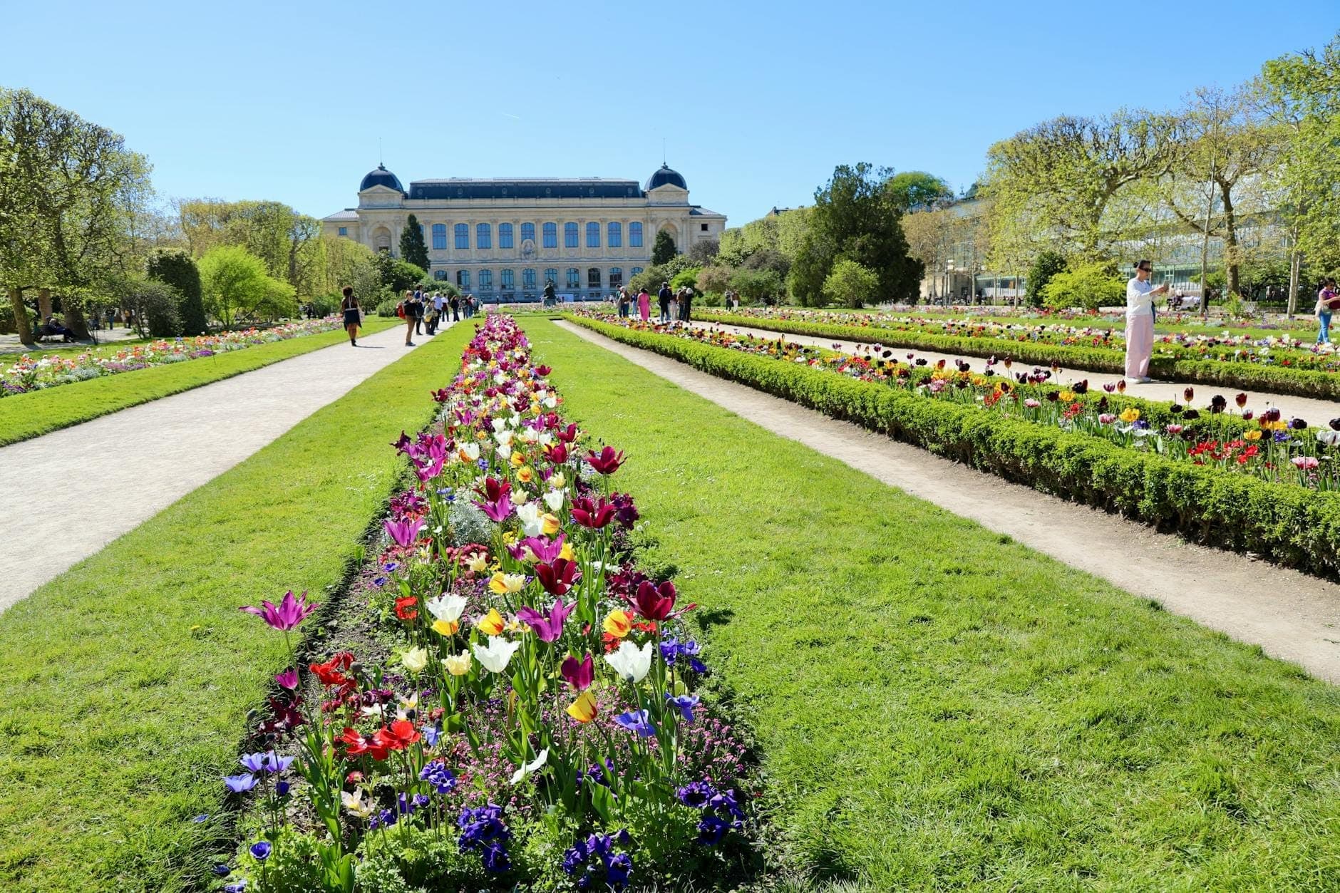 Wide view of Jardin des Plantes with colorful flowerbeds, green lawns, and the grand Natural History Museum building under a bright blue sky in Paris.
