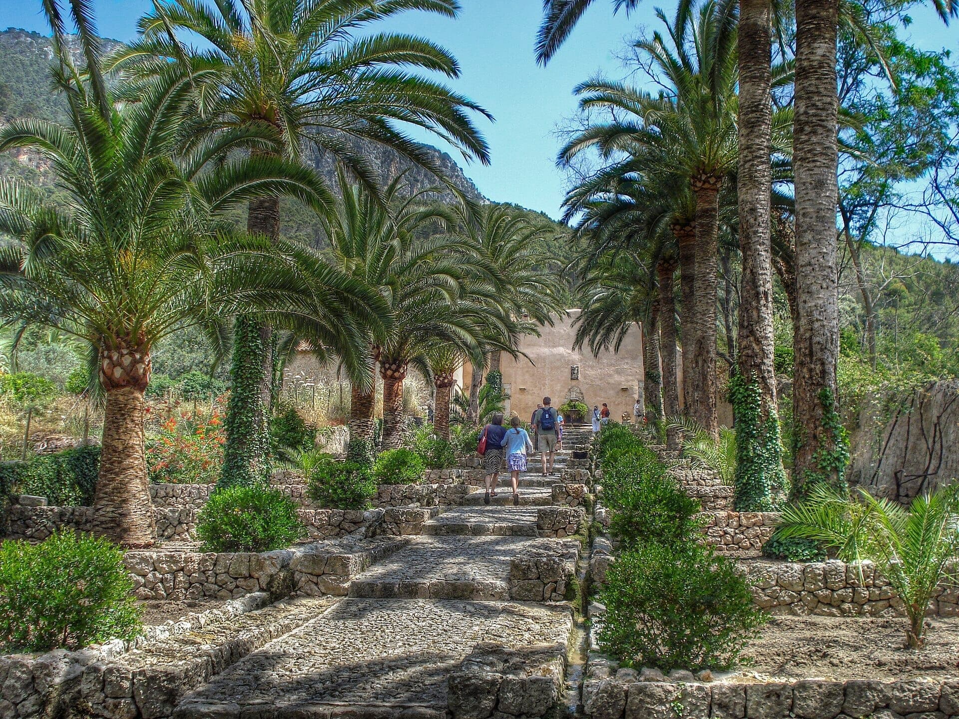 Reisende spazieren entlang eines Steinpfades, gesäumt von Palmen, in den historischen Jardines de Alfabia, Mallorca, unter hellem mediterranem Sonnenlicht.