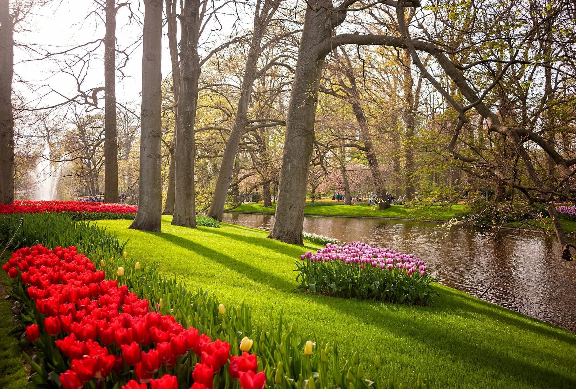 Weitläufiger Blick auf den Keukenhof mit roten, rosafarbenen und gelben Tulpen entlang eines Grashügels neben einem ruhigen Kanal und hohen Bäumen im Frühlingslicht.
