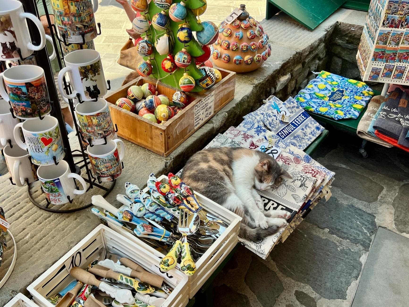 Une boutique dans la vieille ville de Kotor exposant des tasses, ornements et souvenirs à thème félin, ainsi qu'un vrai chat dormant parmi les marchandises.