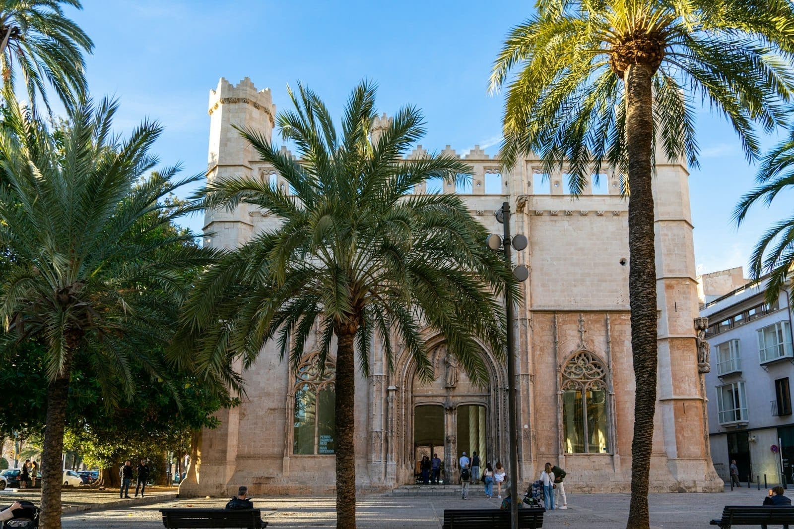 Sa Llotja in Palma de Mallorca, ein imposantes gotisches Gebäude mit Bogenfenstern und Palmen davor unter einem strahlend blauen Himmel.