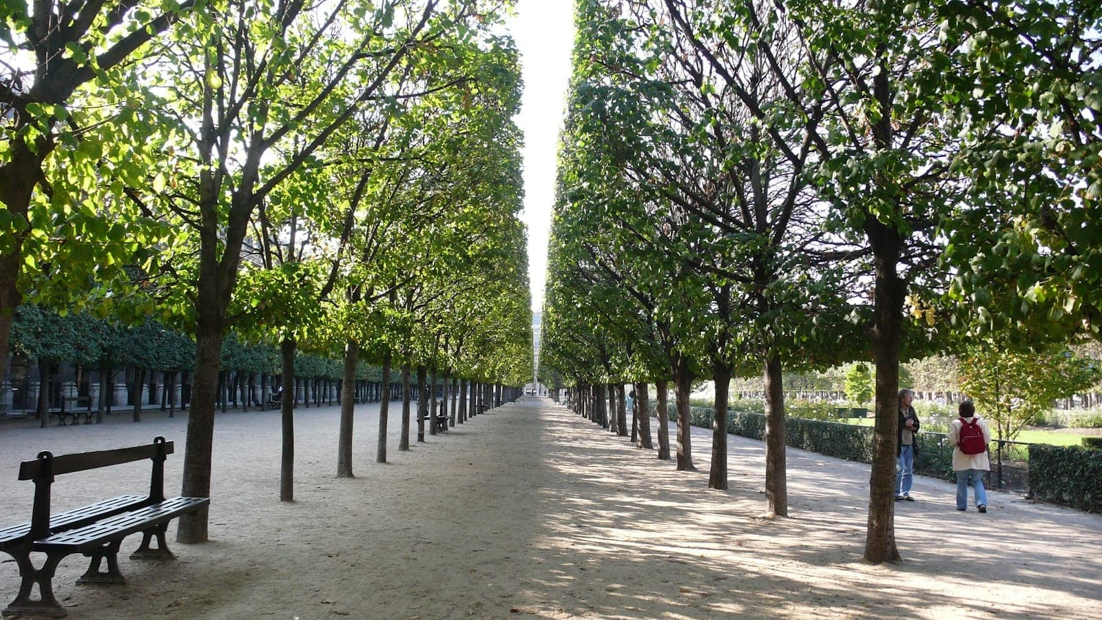 A tree-lined pathway in Paris with sunlight filtering through the leaves, benches along the side, and a person walking under the green canopy.