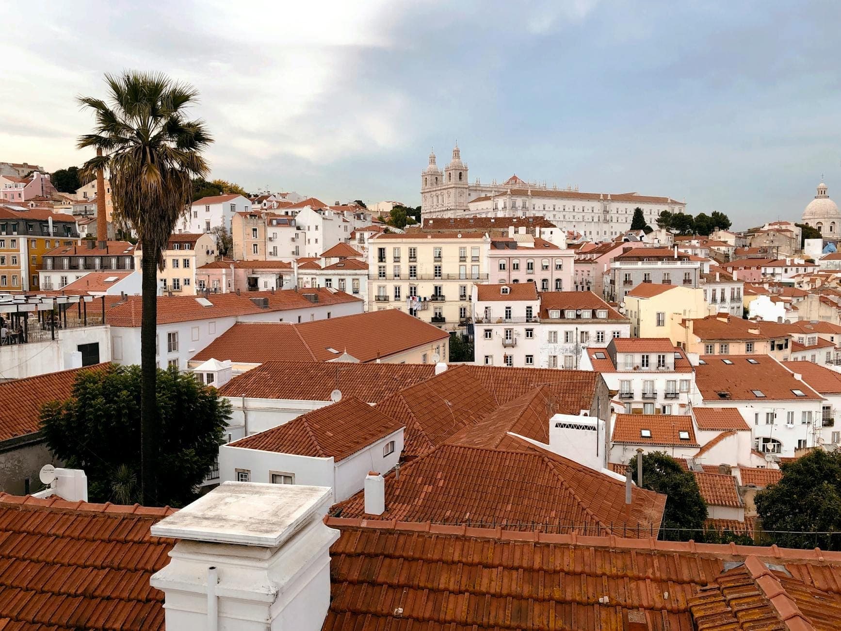 Vista ampla dos telhados vermelhos de Lisboa com edifícios históricos, uma palmeira alta e céu azul, captando o ambiente dos bairros com colinas da cidade.