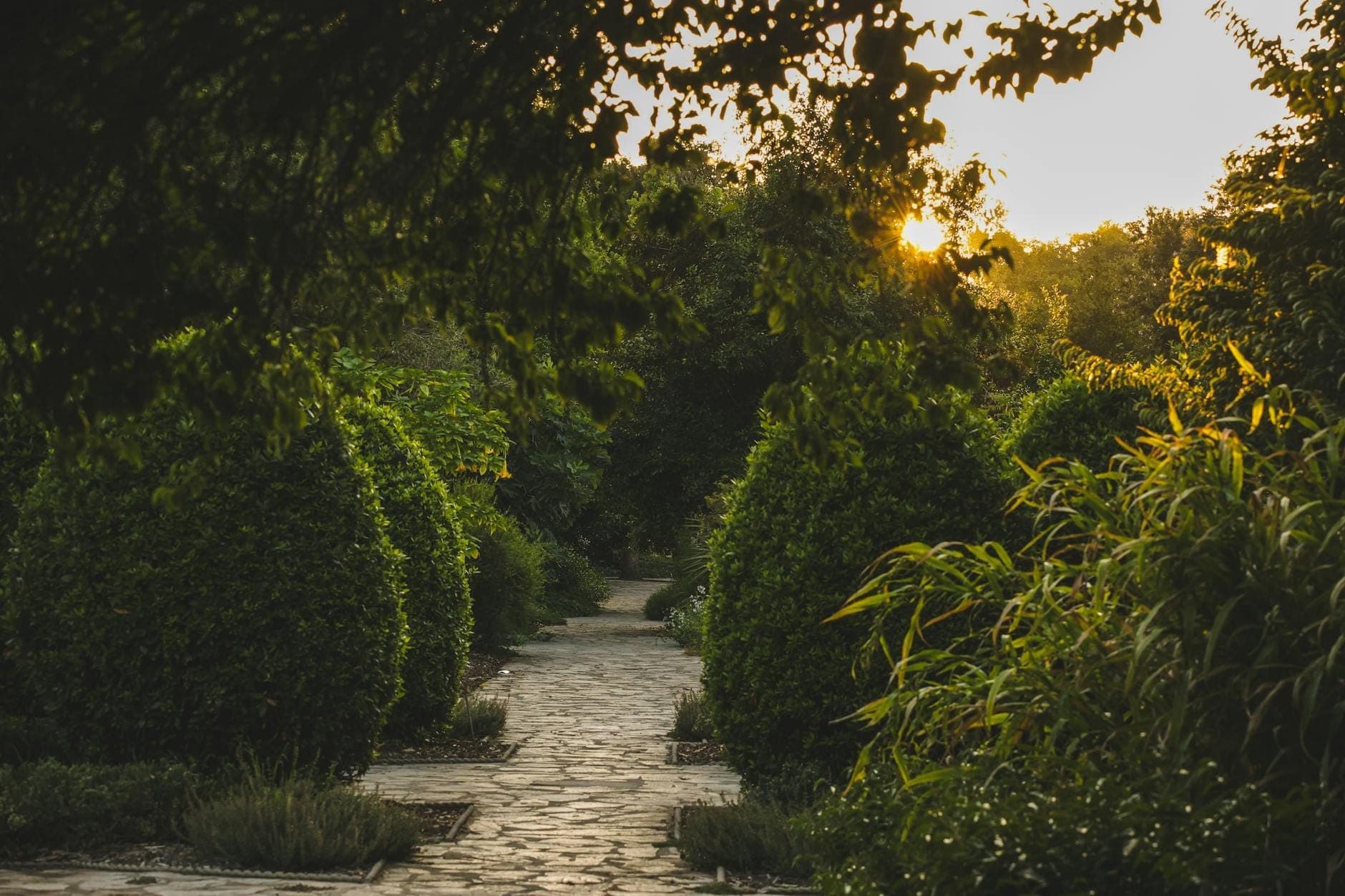 Steinpfad, der sich durch üppige grüne Büsche und Bäume in einem ruhigen botanischen Garten bei Sonnenuntergang schlängelt.