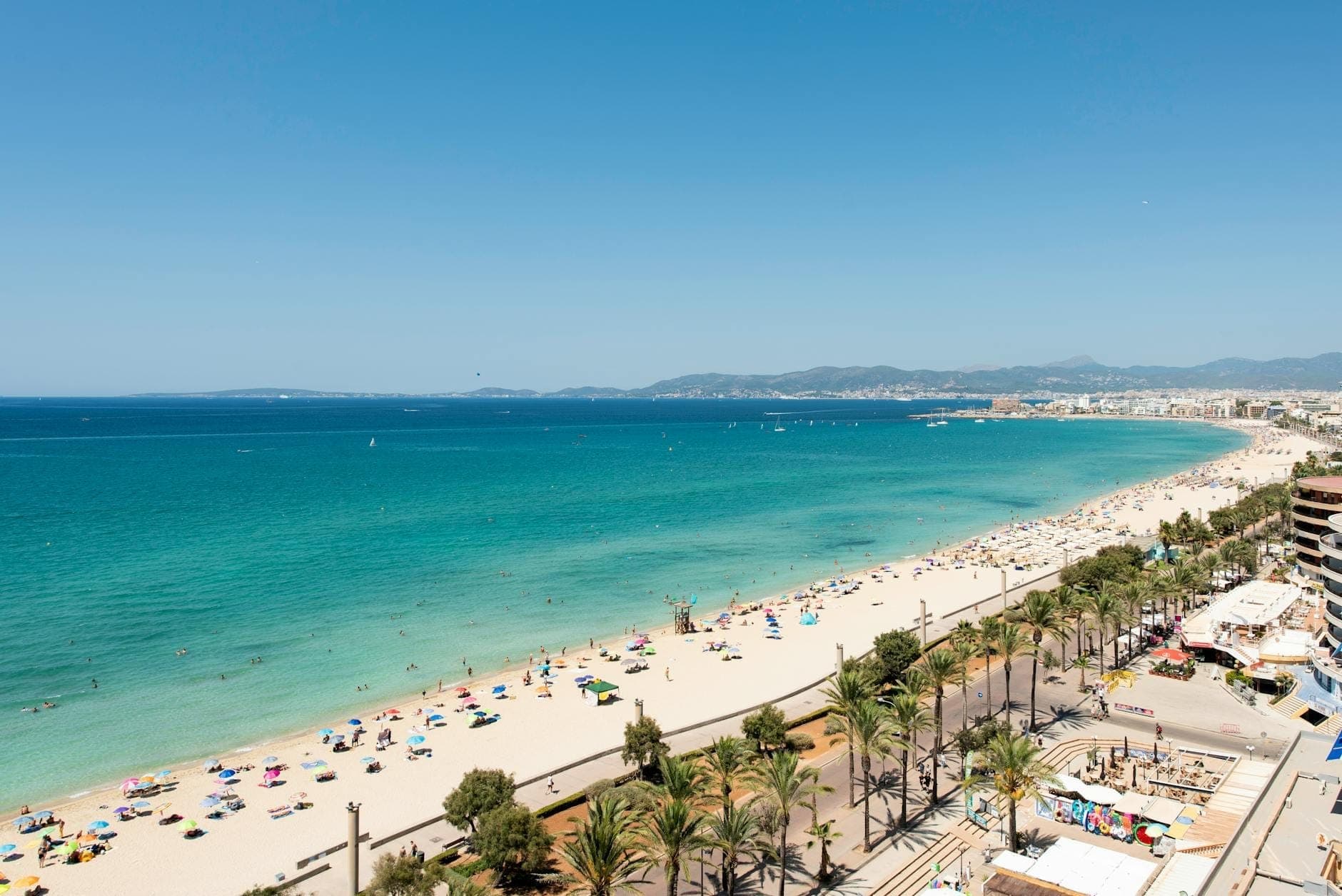 Ein weiter Panoramablick auf den langen Sandstrand von Magaluf mit türkisblauem Meer, Sonnenanbetern, Sonnenschirmen, Palmen und dem Urlaubsort, der sich an einem klaren Tag entlang der Küste erstreckt.