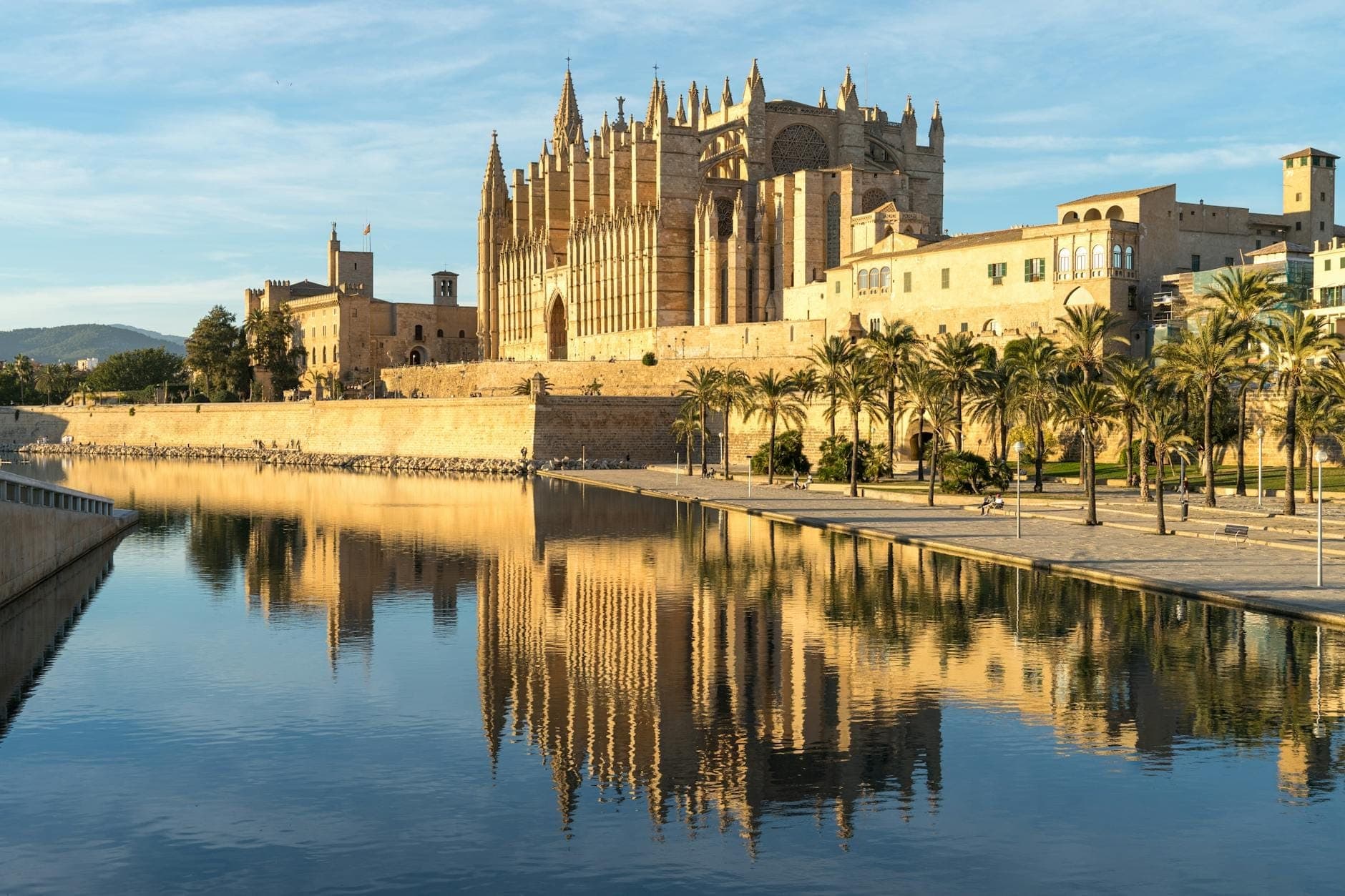 Cathedral of Santa Maria of Palma reflecting in water under a blue sky, with palm trees lining the promenade in Mallorca, Spain.