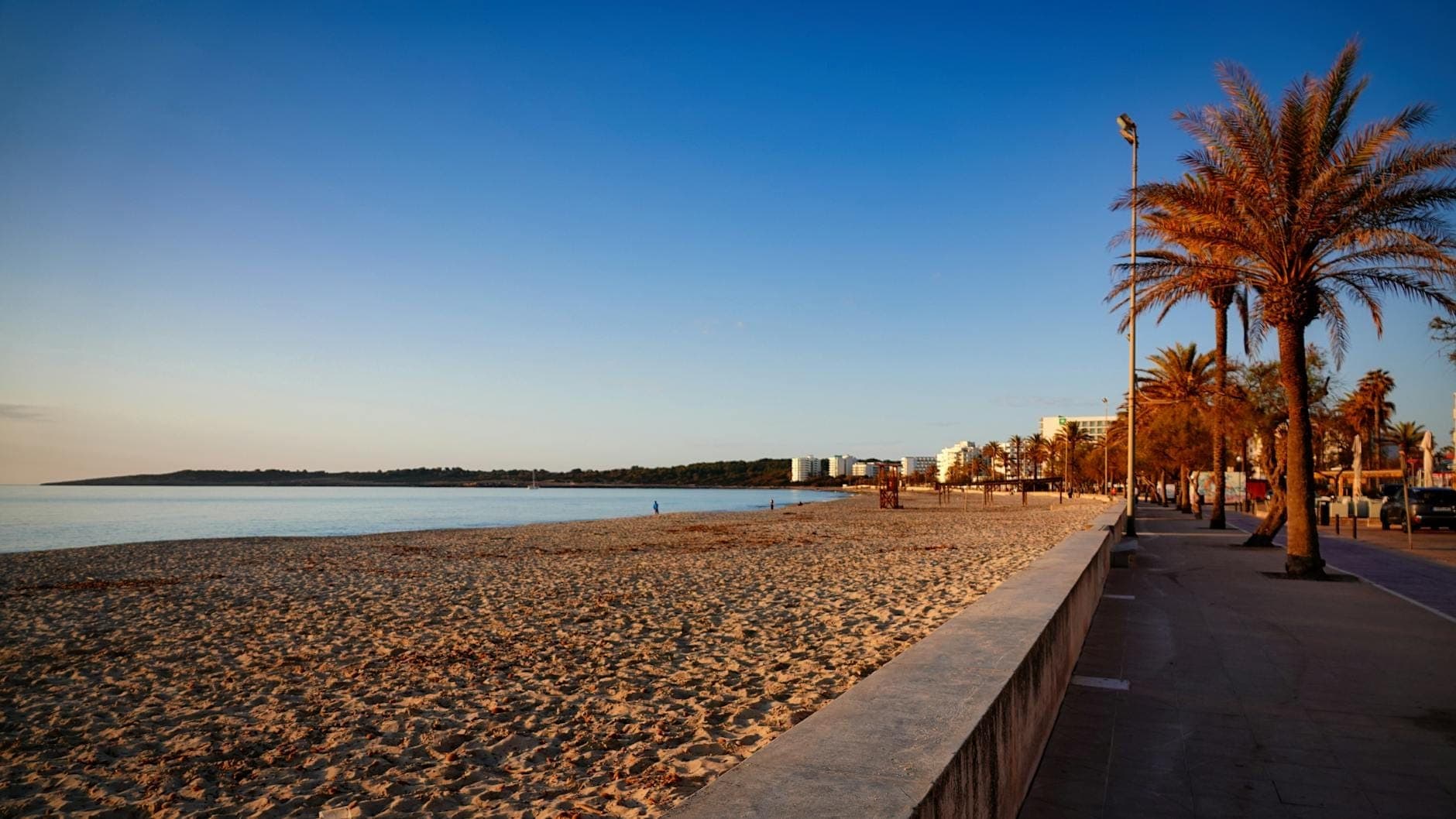 Playa de arena casi vacía y paseo marítimo con algunos edificios y palmeras bajo un cielo azul despejado en Mallorca.