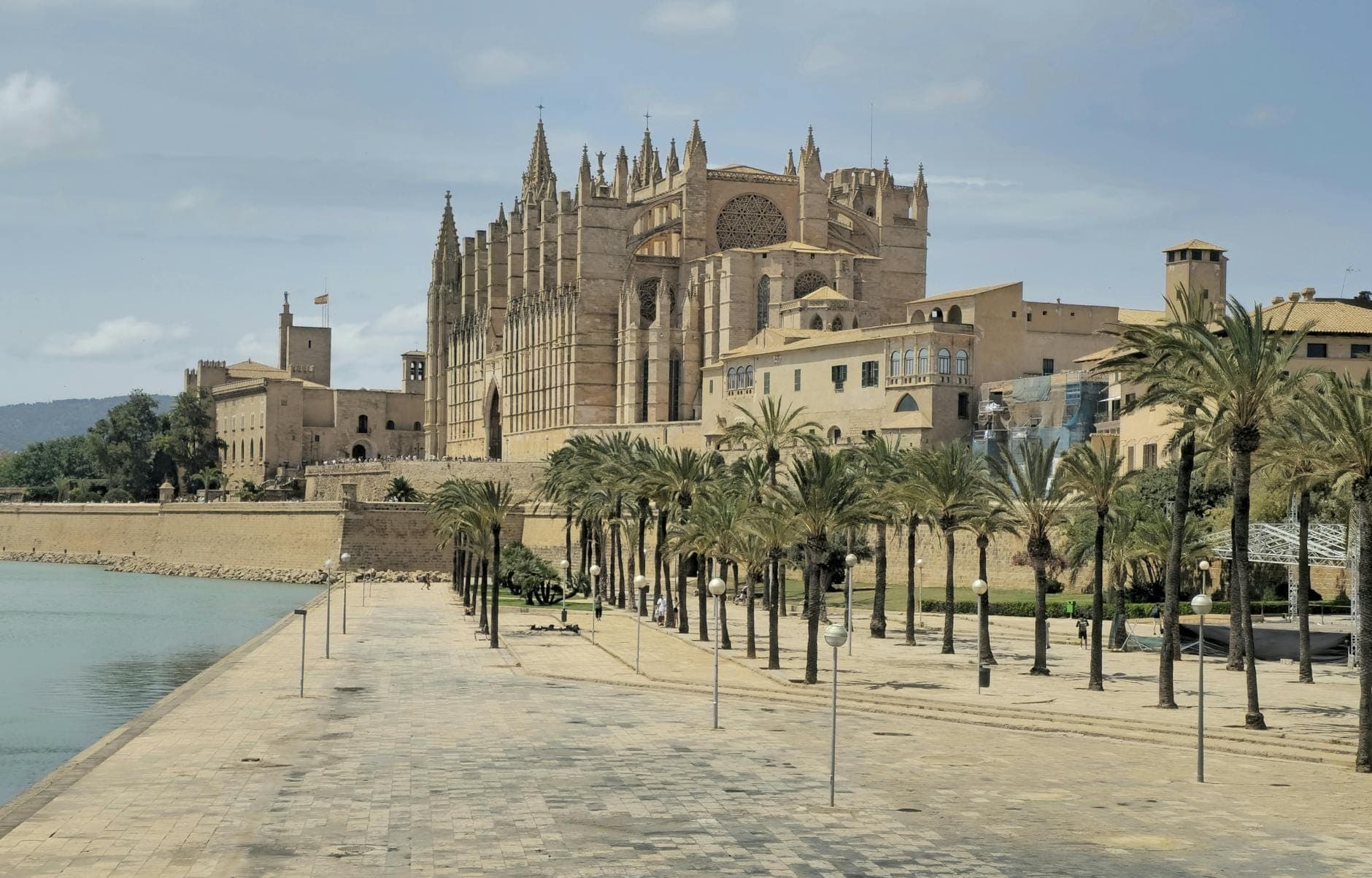 Vista ampia del lungomare del centro storico di Palma con la Cattedrale La Seu e palme, che suggerisce un'area centrale e conveniente per gli alloggi.
