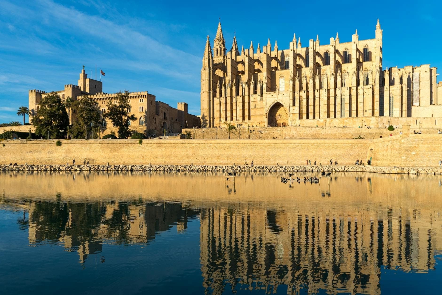 Weiter Blick auf die mittelalterliche Kathedrale von Mallorca, die Stadtmauern und das spiegelnde Wasser im hellen Sonnenschein, das beeindruckende historische Architektur für die Erkundung mit der Familie zeigt.