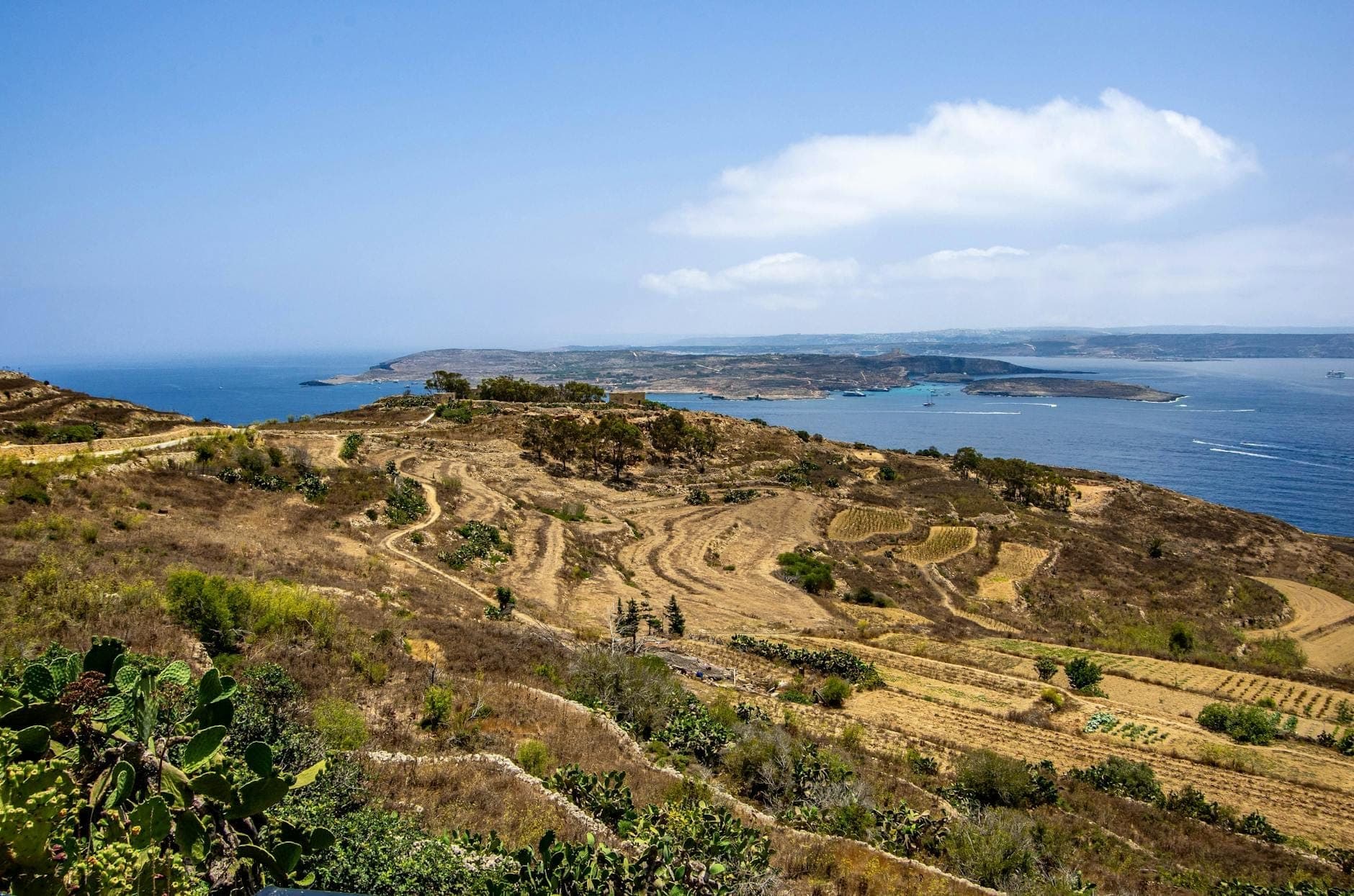 วิวกว้างของเนินเขาแบบขั้นบันไดของ Gozo พร้อมทะเลเมดิเตอร์เรเนียนและเกาะ Comino ในระยะไกลใต้ท้องฟ้าสีฟ้า