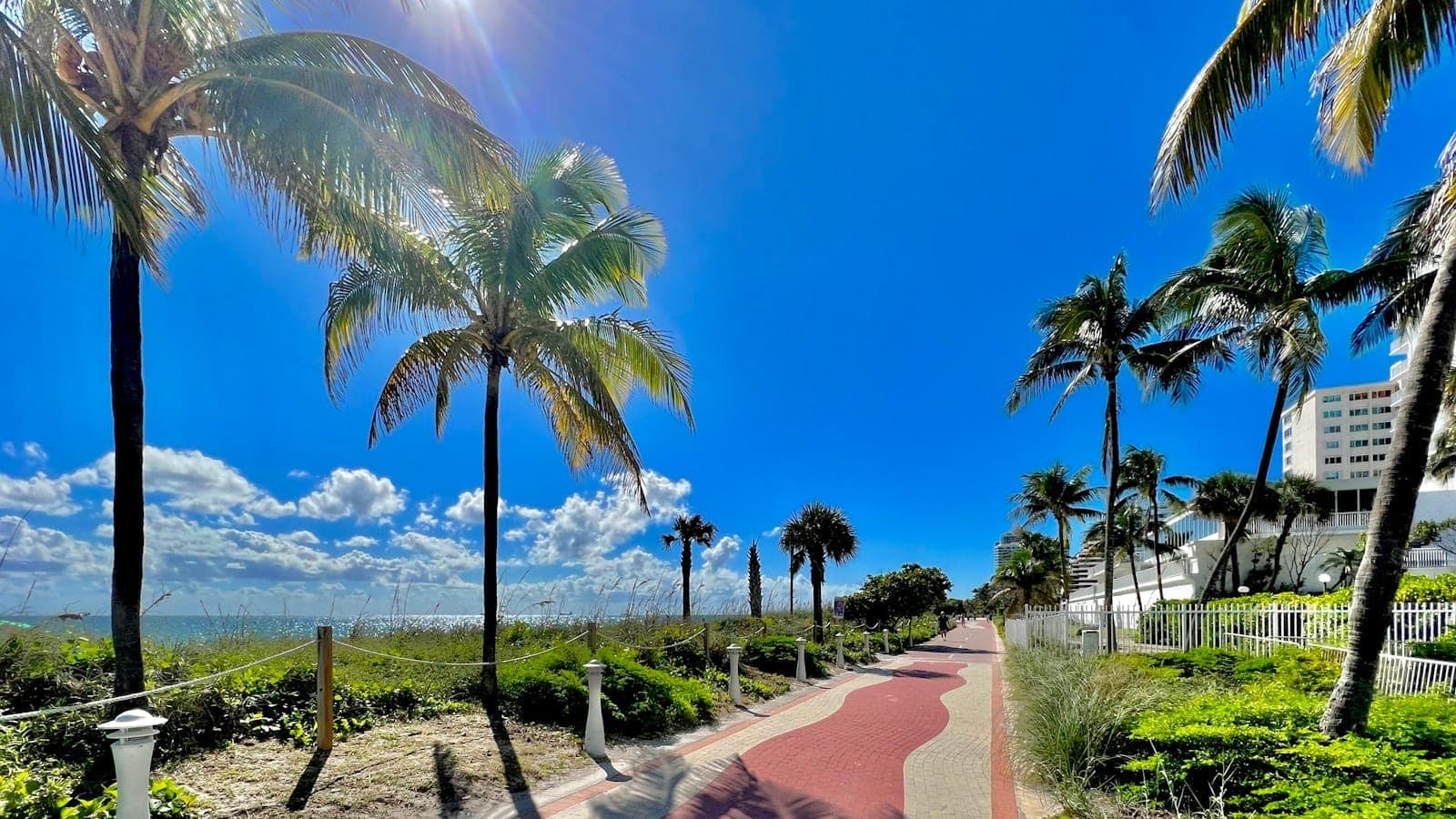Sunny day on the Miami Beach Boardwalk with palm trees, blue sky, ocean views, and a wide ADA-accessible pedestrian path lined by greenery and hotels.