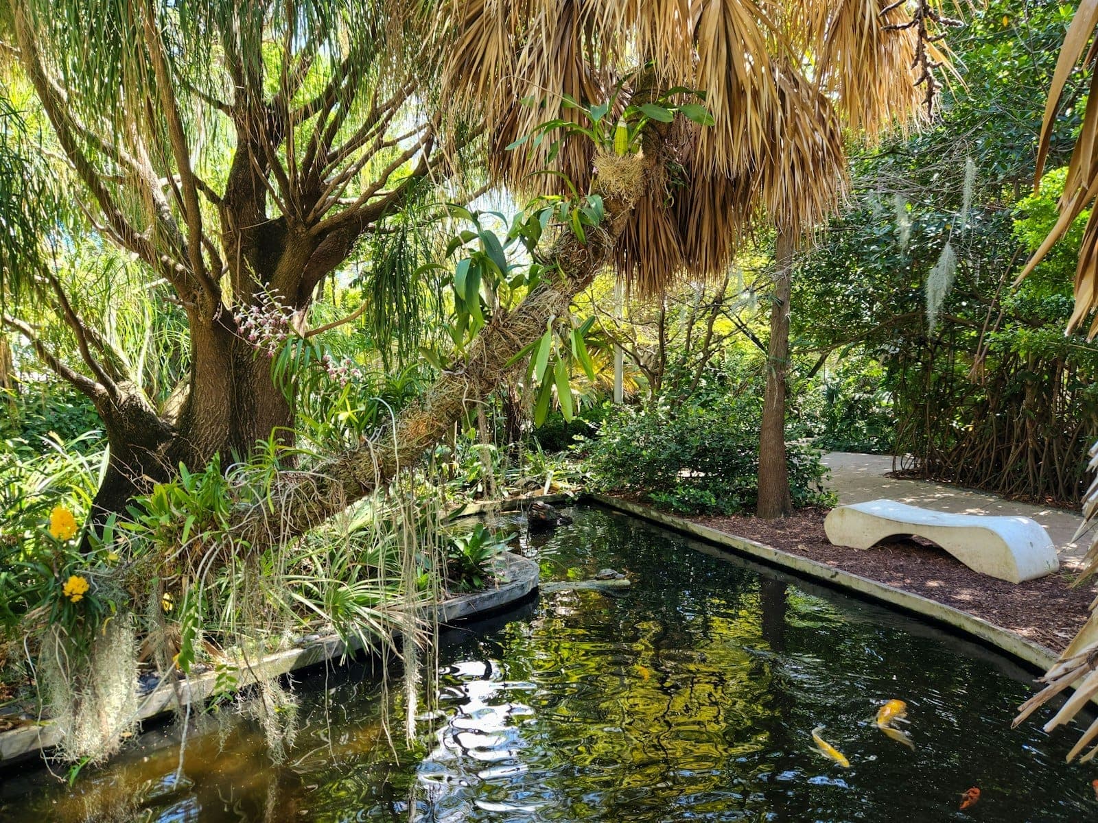 Tranquil tropical garden scene with a reflective pond, lush greenery, overhanging palm branches, and a curved white bench in dappled sunlight.