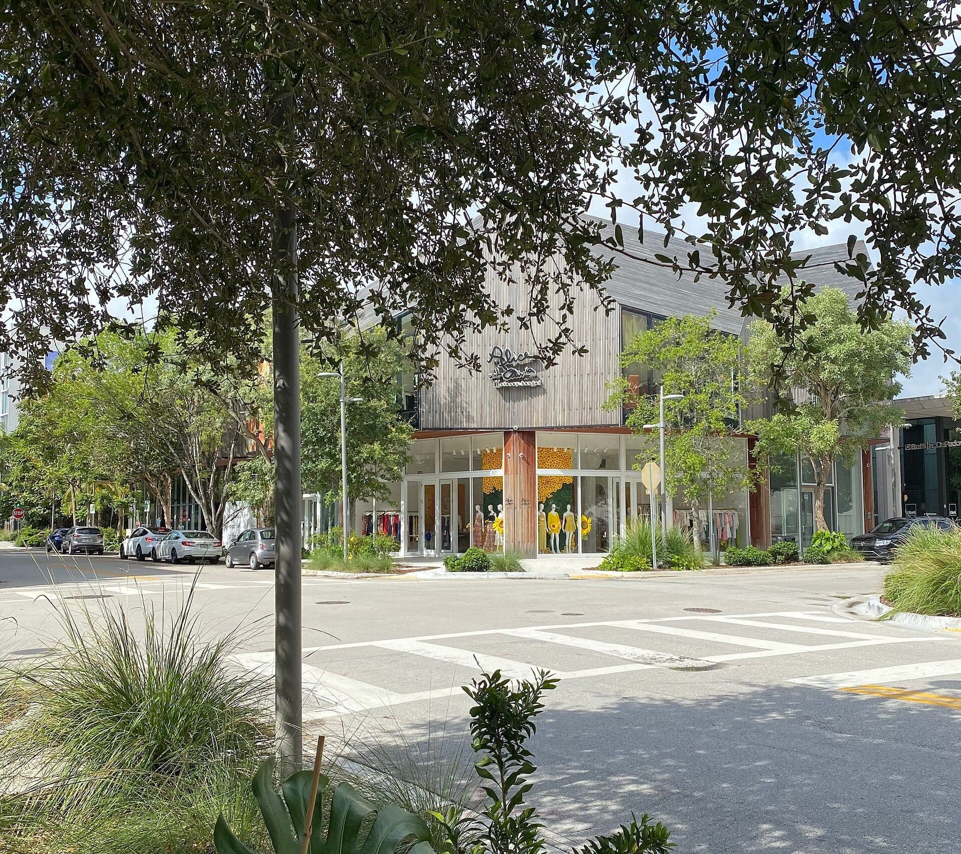 Street view of a boutique storefront in the Miami Design District, surrounded by lush green trees and modern commercial buildings under daylight.