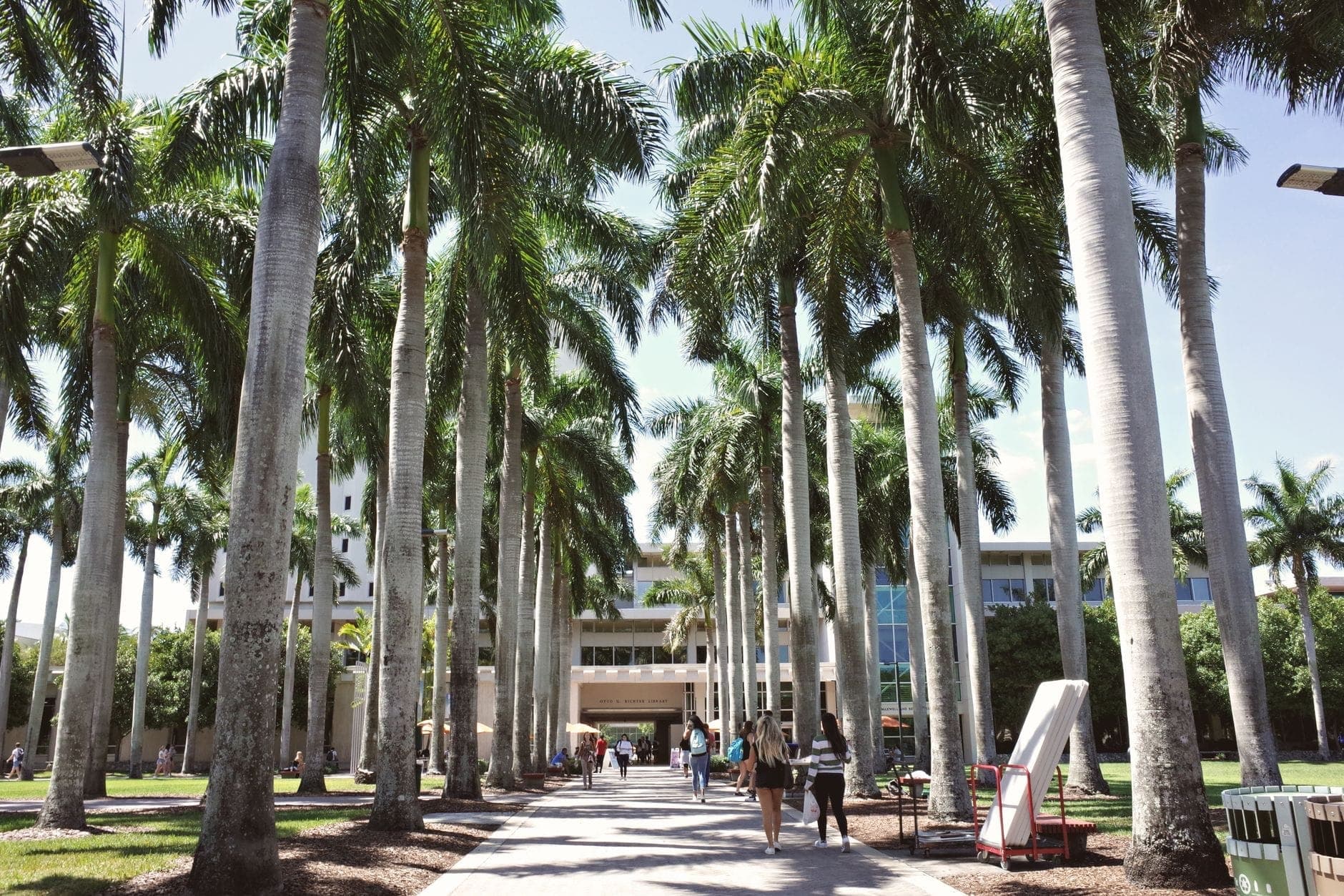 Promenade piétonne bordée de palmiers avec des passants, boutiques et commerces visibles dans un quartier de Miami