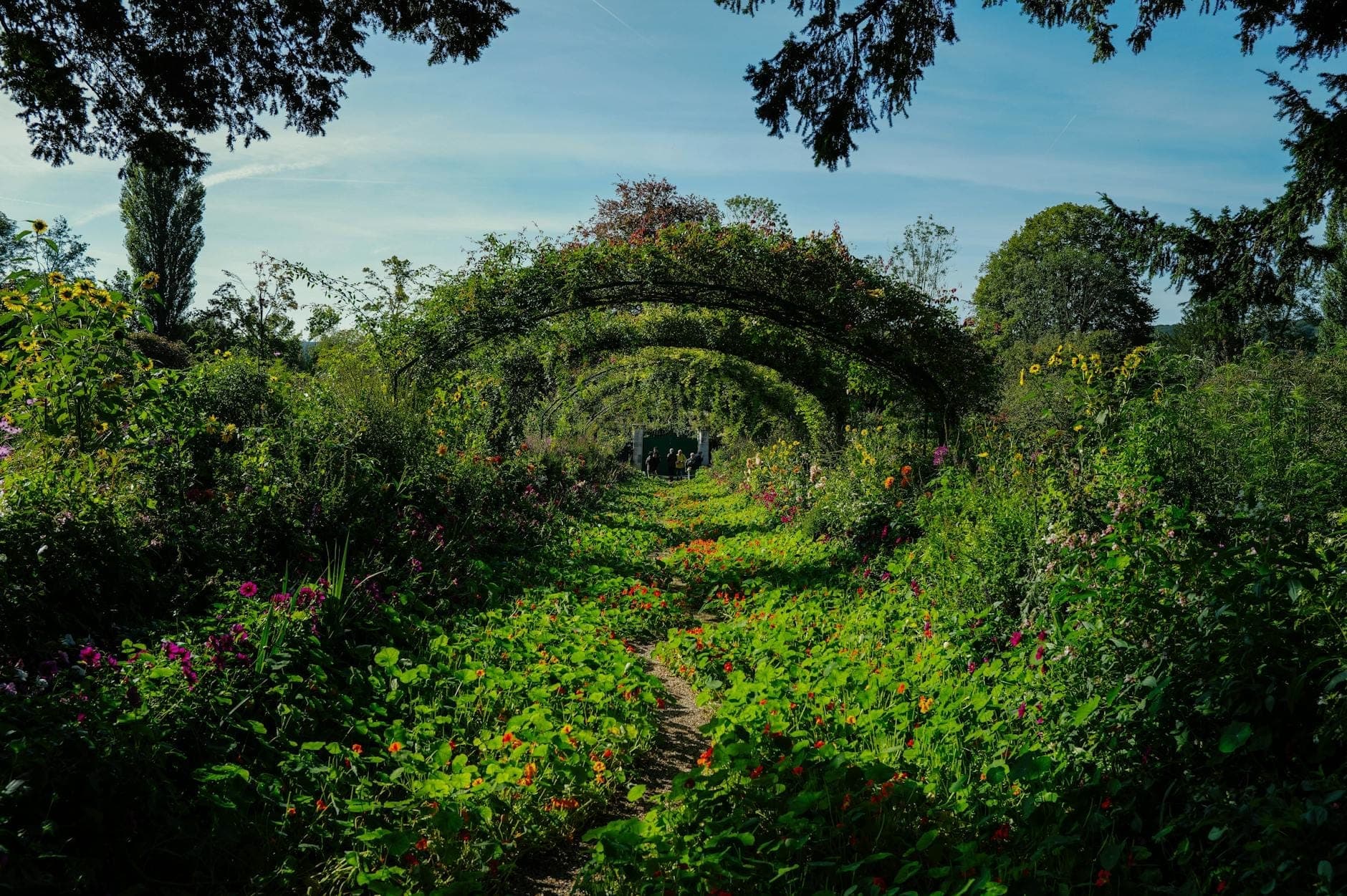 Arched green trellises over a flower-filled path in Monet’s lush gardens at Giverny, with vibrant greenery and a clear blue sky.