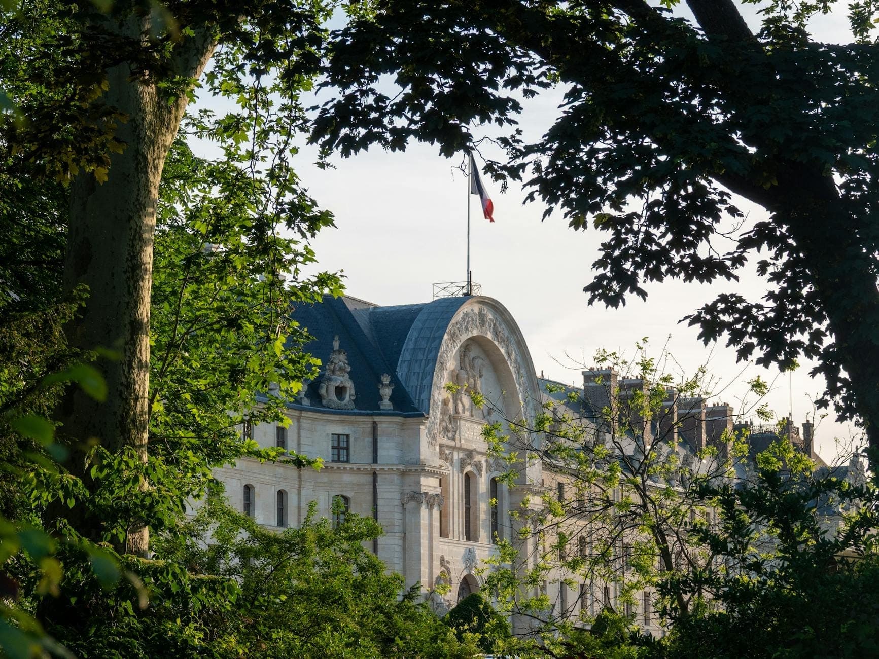 A grand Parisian building partially hidden by lush green trees, with a French flag on top, framed by leafy branches in the foreground.