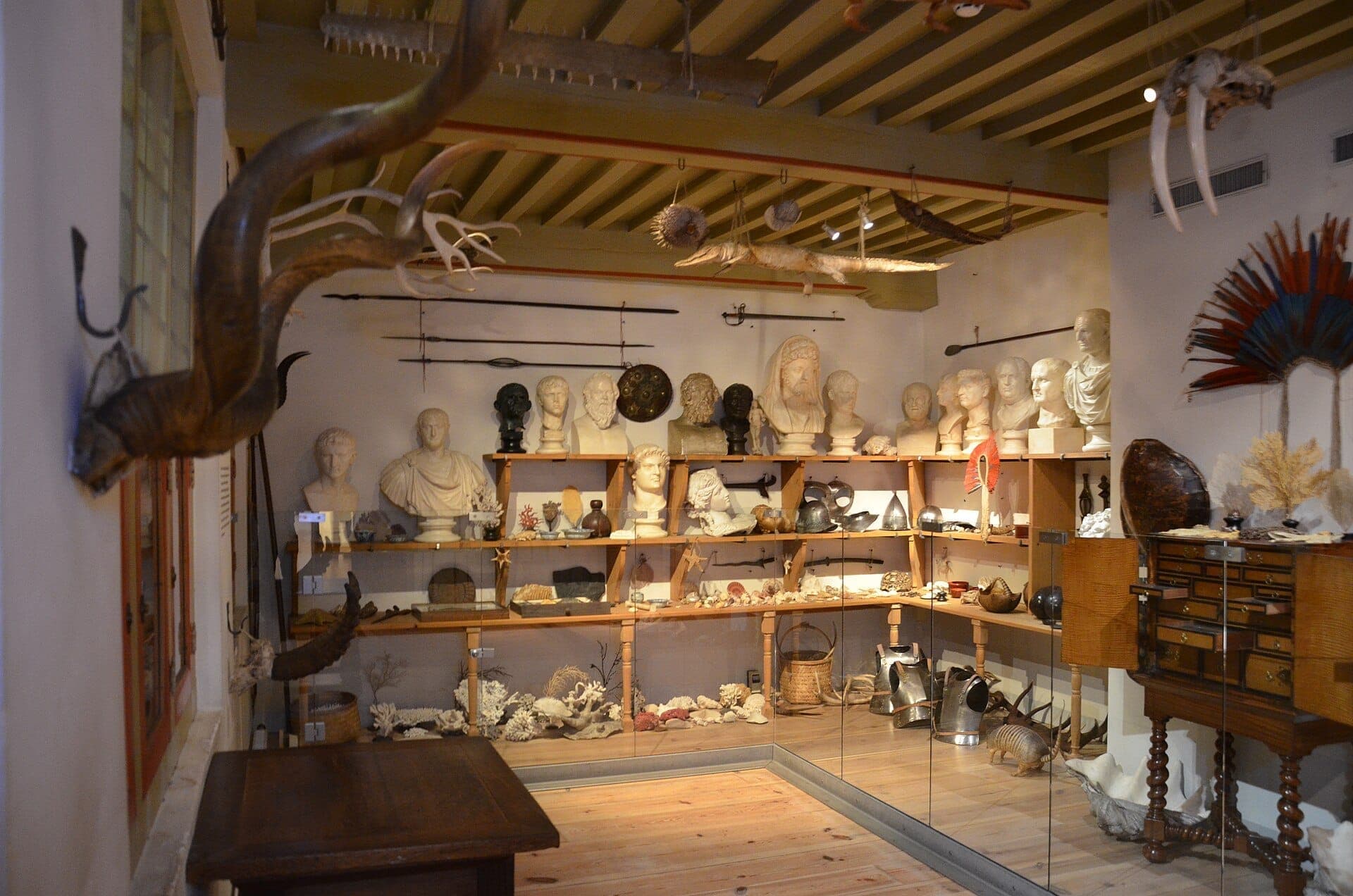 Ein Raum im Museum Het Rembrandthuis, gefüllt mit klassischen Büsten, Artefakten, Rüstungsteilen, Tierhörnern und naturhistorischen Kuriositäten unter sanfter Beleuchtung.