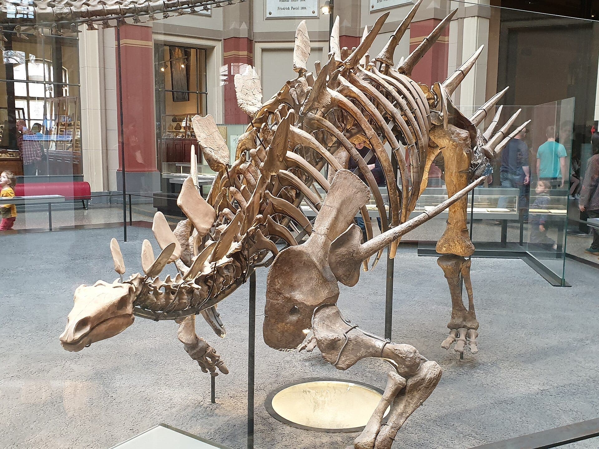 Экспозиция скелета динозавра в Museum für Naturkunde Berlin: стеклянные ограждения и посетители, осматривающие светлый просторный выставочный зал.