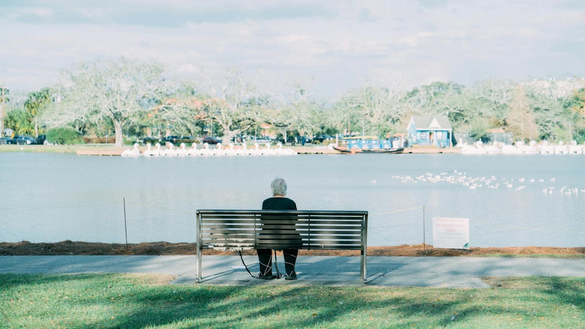 Eine ältere Person sitzt allein auf einer Bank mit Blick auf die Lagune im New Orleans City Park, mit Bäumen und einem blauen Bootshaus im Hintergrund.