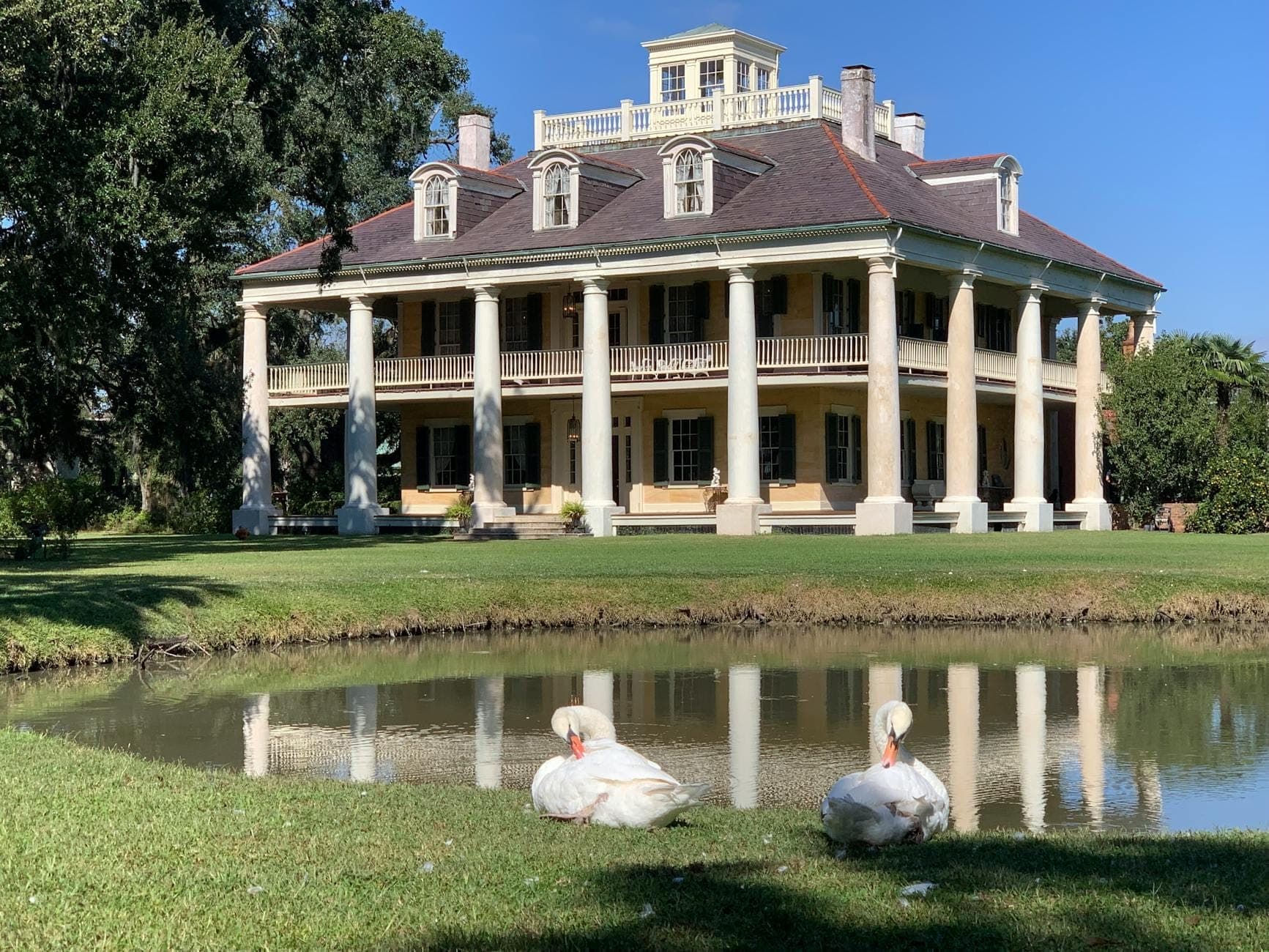 Classic southern plantation house with tall white columns, a manicured lawn, pond, and two white swans in front under blue sky.