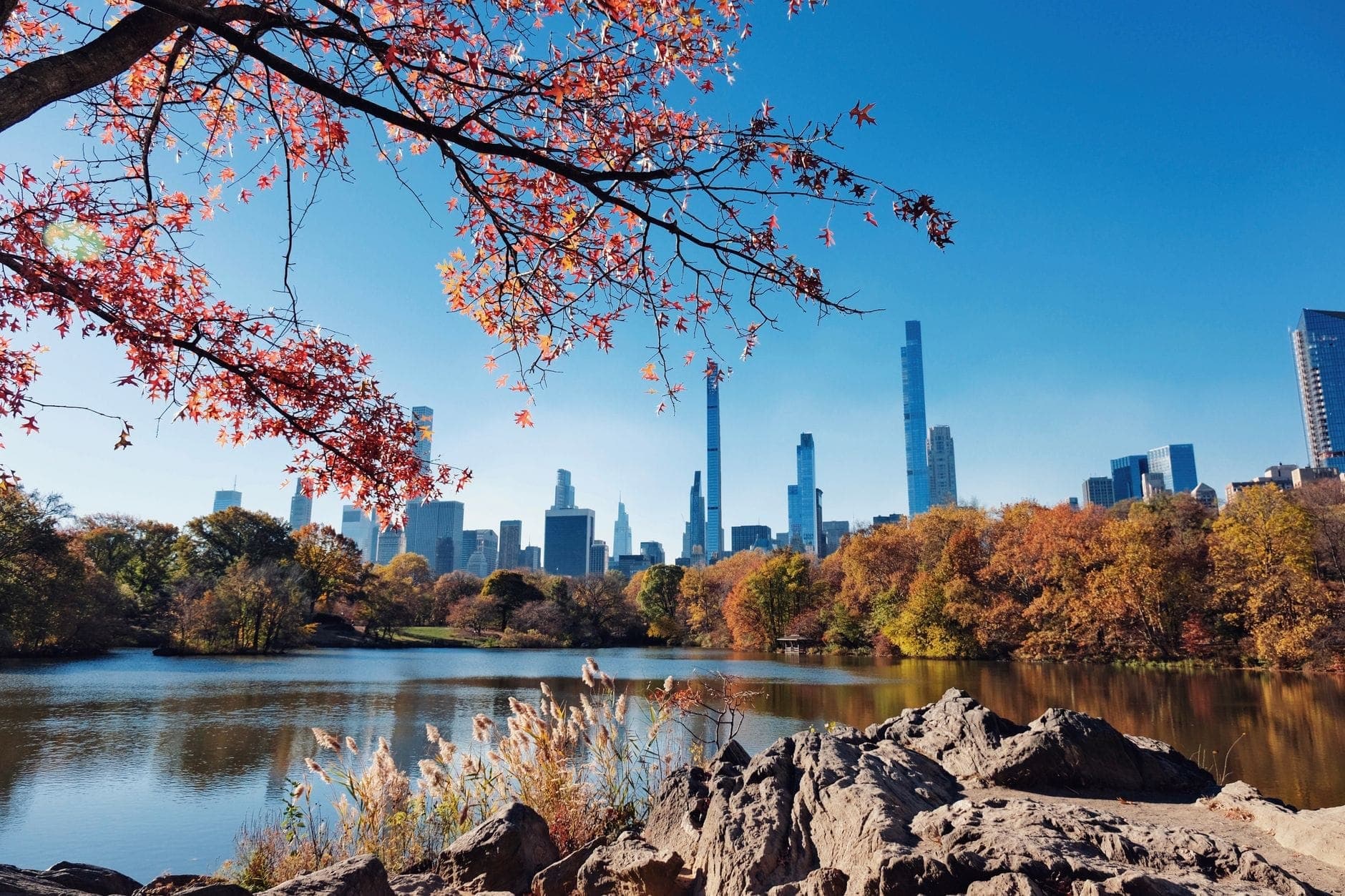 สวน Central Park กับต้นไม้ใบไม้เปลี่ยนสีสวย ๆ ทะเลสาบใส ฉากหลังตึกระฟ้าของแมนฮัตตัน ใบไม้แดงโดดเด่นหน้าภาพ และท้องฟ้าสีฟ้าสดใส