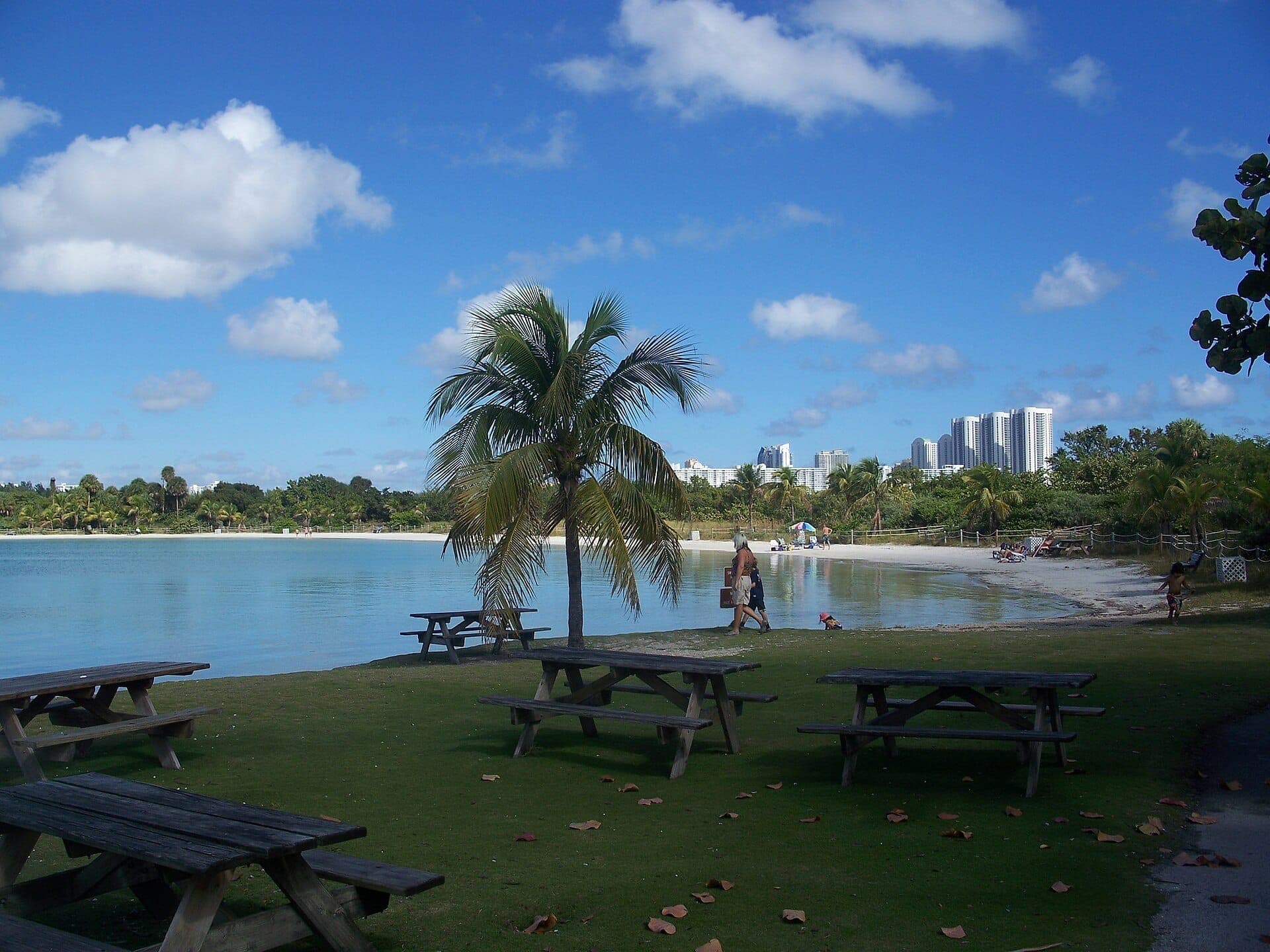 Picnic benches beneath palm trees overlook the calm waters and sandy shore at Oleta River State Park, with Miami’s cityscape visible in the background.