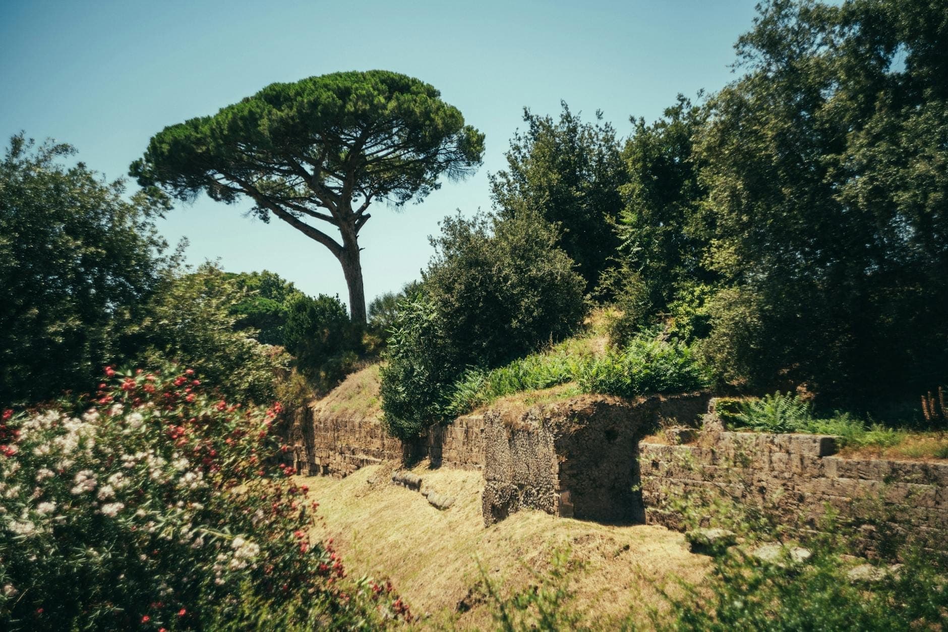 Antike Ruinen umgeben von üppigem Grün und blühenden Pflanzen unter klarem blauem Himmel, die die jahreszeitliche Schönheit Roms einfangen.
