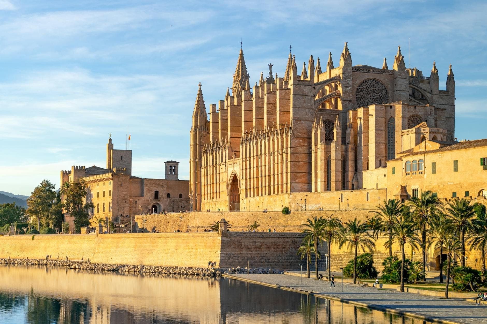Panoramablick auf die Kathedrale von Palma (La Seu) im Morgengrauen, gespiegelt im Wasser, mit Palmen und historischen Gebäuden in der Nähe.
