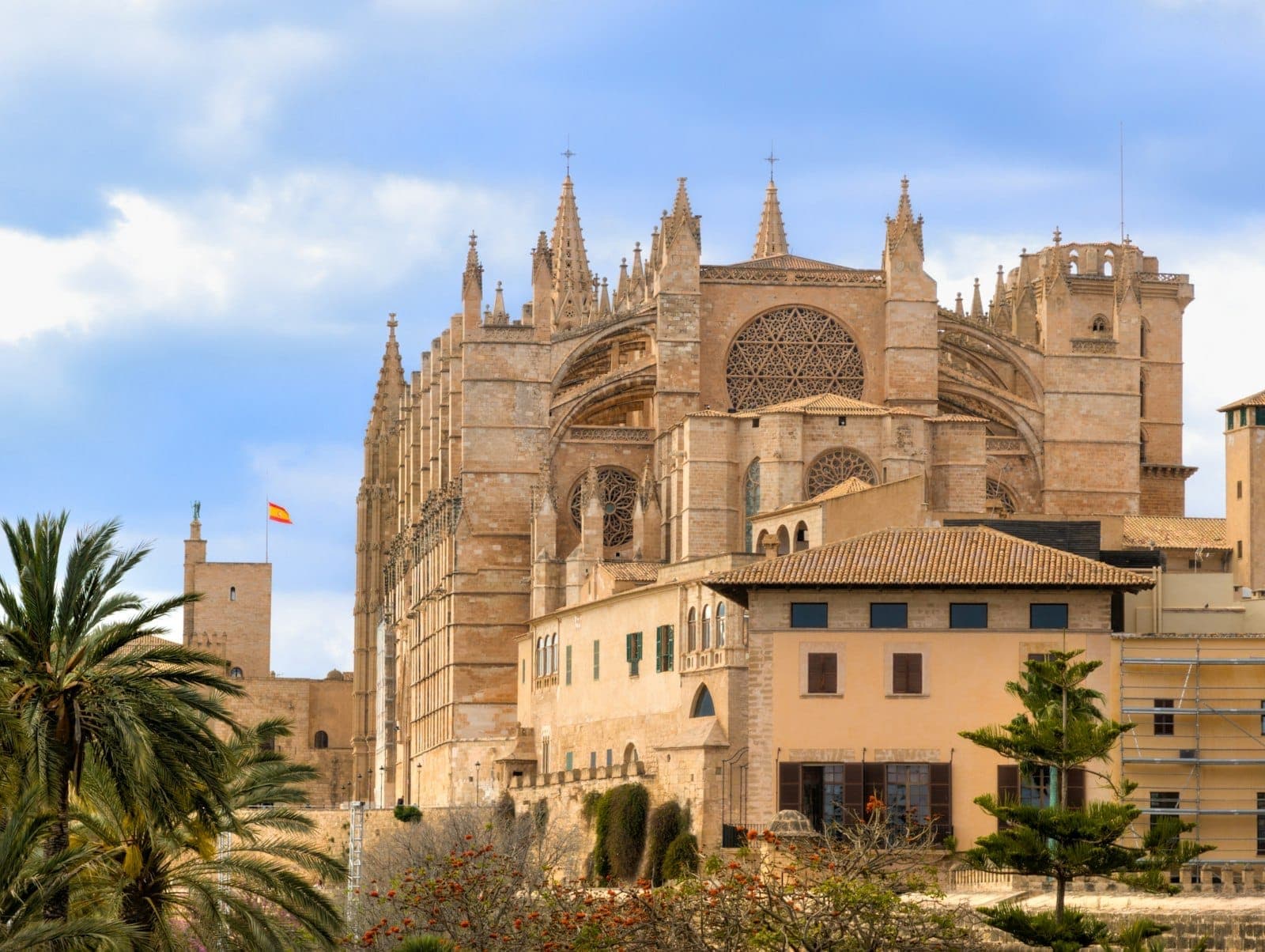 Weiter Blick auf Palmas historische Kathedrale und die umliegenden Altstadtgebäude vor blauem Himmel, im Vordergrund Palmen.
