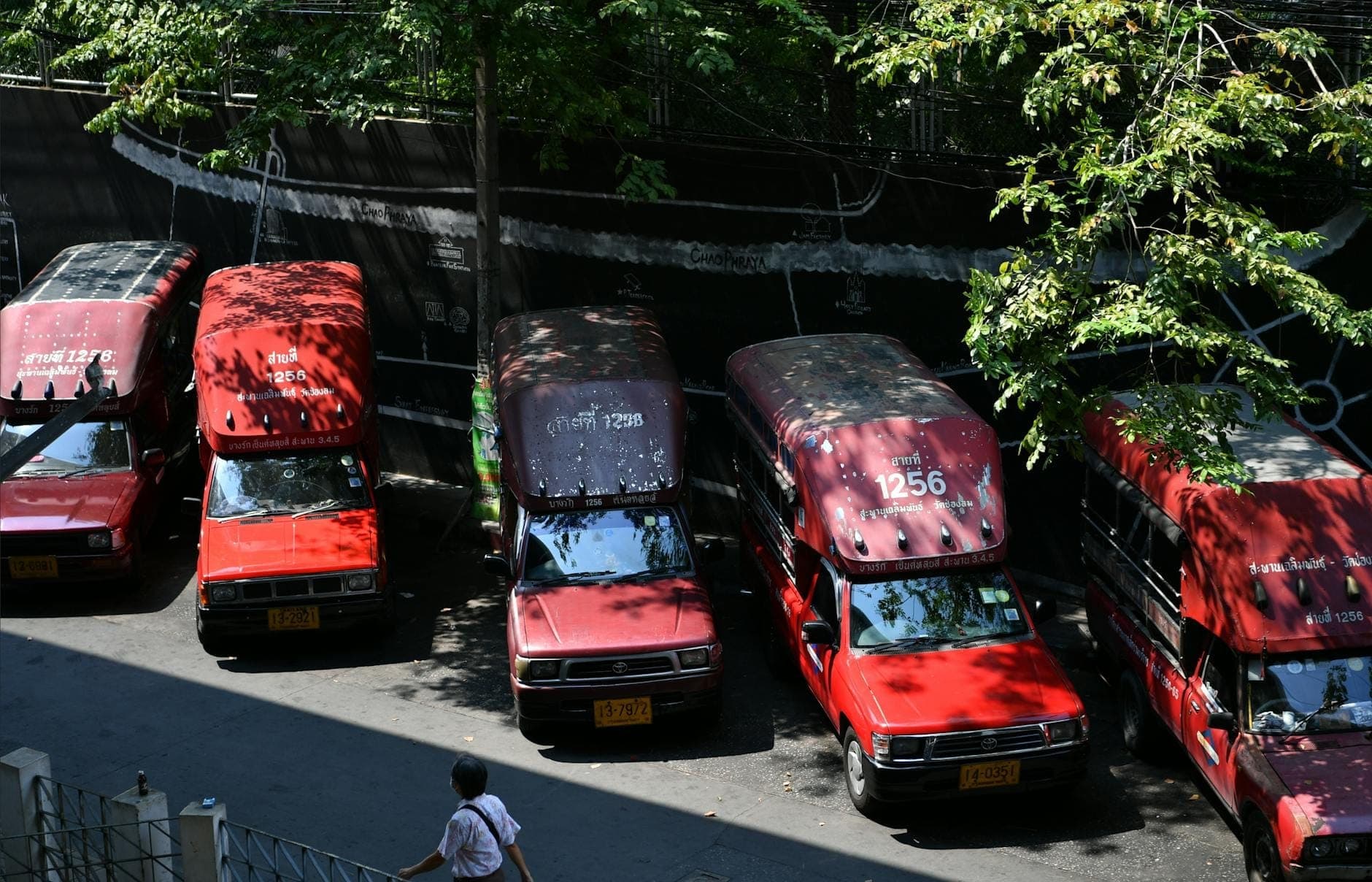 Kilka czerwonych taksówek songthaew zaparkowanych w Pattaya, w cieniu drzew, z pieszym spacerującym w pobliżu.