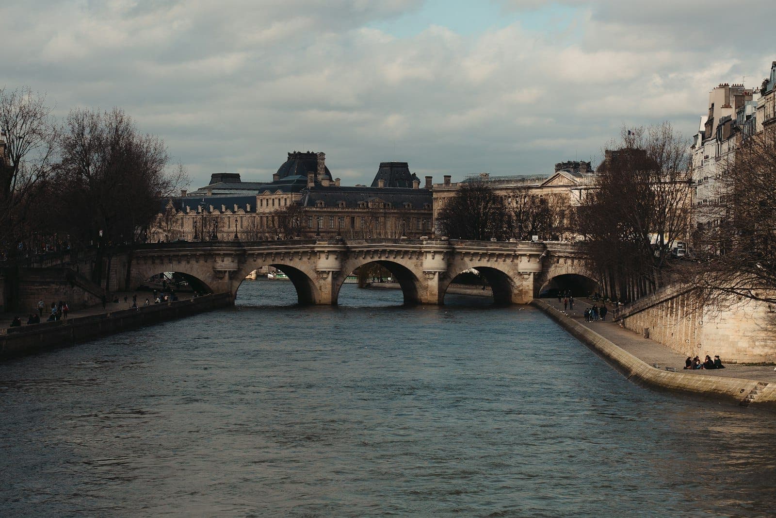 Pont Neuf bridge stretching across the Seine in Paris, framed by historic buildings and trees under a cloudy sky, viewed from the river.