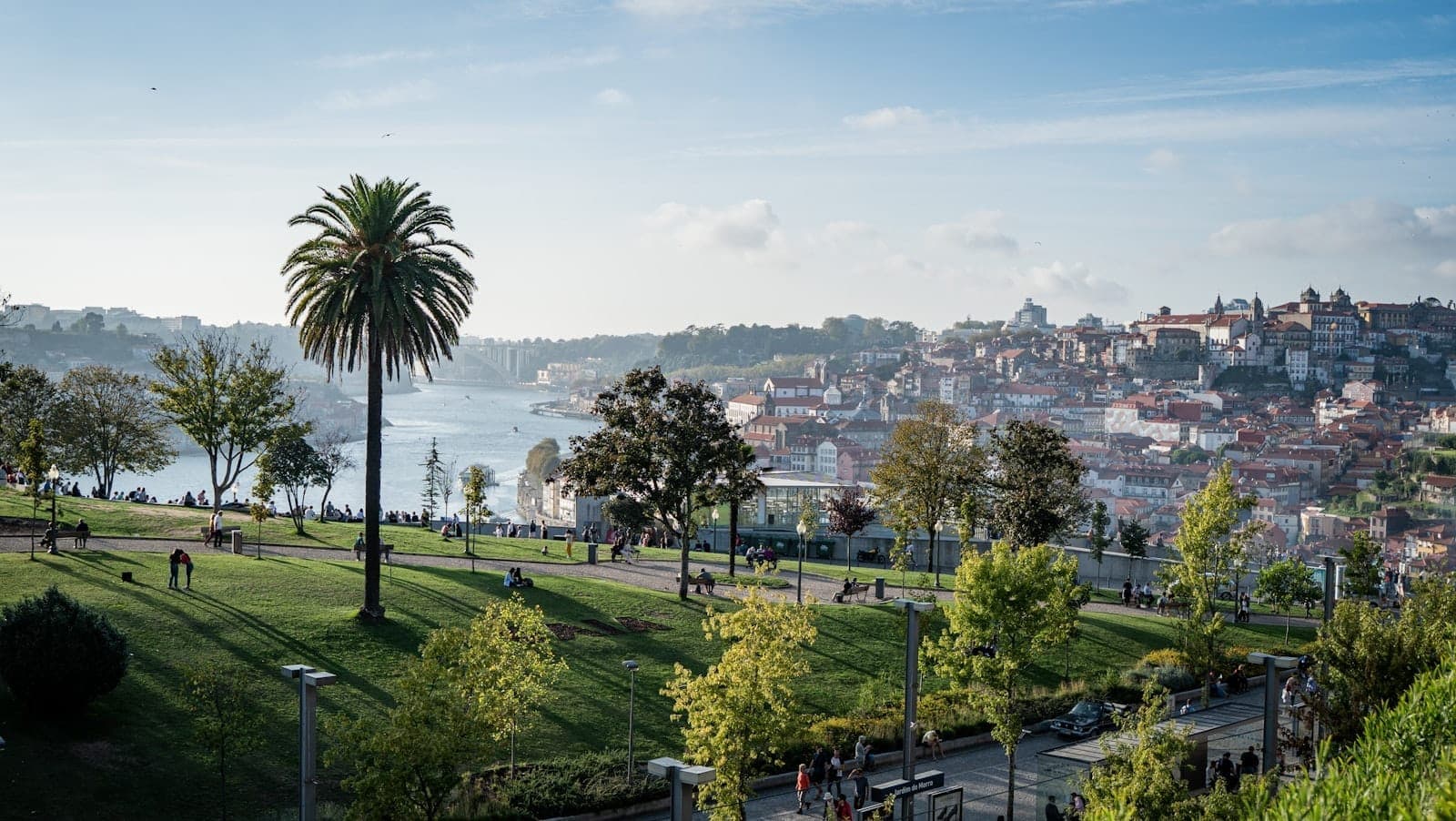 Malerischer Uferpark in Porto mit Palme, Wanderwegen und Menschen, die die Grünfläche mit Blick auf den Fluss Douro und die Stadtlandschaft genießen.