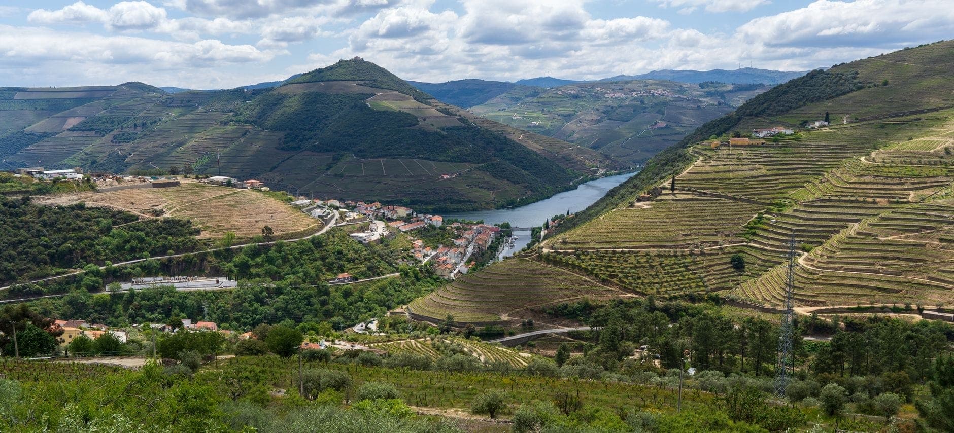 Amplia vista panorámica de los viñedos en terrazas del Valle del Duero, colinas verdes y el sinuoso río Duero cerca del pueblo de Pinhão bajo un cielo parcialmente nublado.