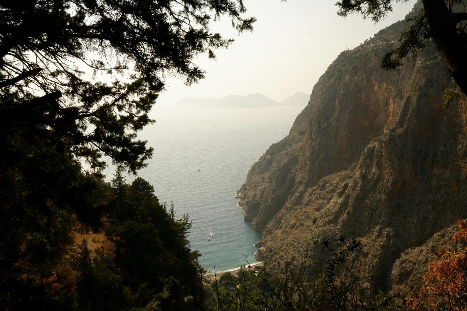 Vue panoramique encadrée par des arbres, surplombant des falaises escarpées et une baie aux eaux turquoise, évoquant des promenades naturelles et des belvédères.