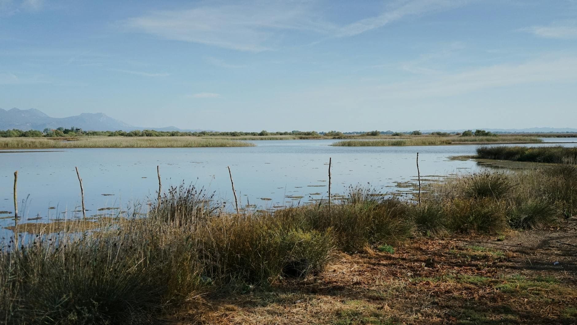 Weitläufige Landschaft eines ruhigen Feuchtgebiets mit stillem Wasser, Schilf und fernen Bergen unter blauem Himmel – das Naturschutzgebiet S'Albufera auf Mallorca.