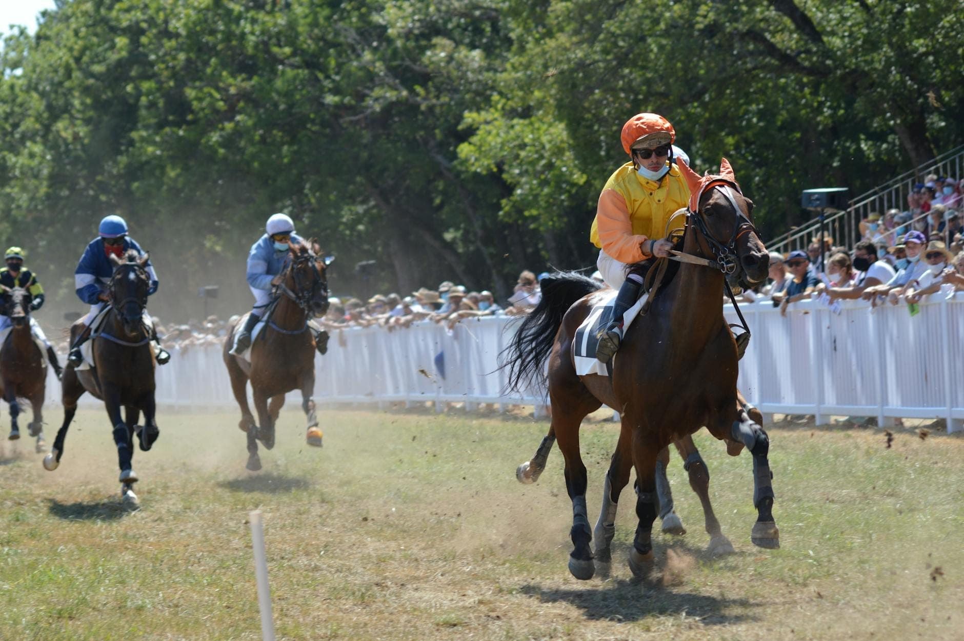 Outdoor-Festival mit einem lebhaften Pferderennen, Reitern in bunter Ausrüstung und Zuschauermassen hinter Zäunen in einer ländlichen, baumgesäumten Umgebung auf Sardinien.
