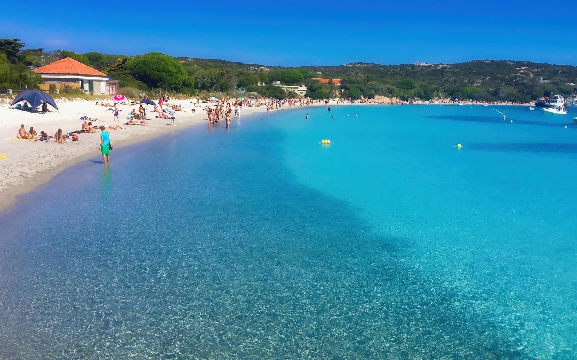 Ein wunderschöner Strand auf Sardinien mit klarem türkisfarbenem Wasser, Schwimmern und Menschen, die sich unter einem sonnigen blauen Himmel im weißen Sand entspannen.