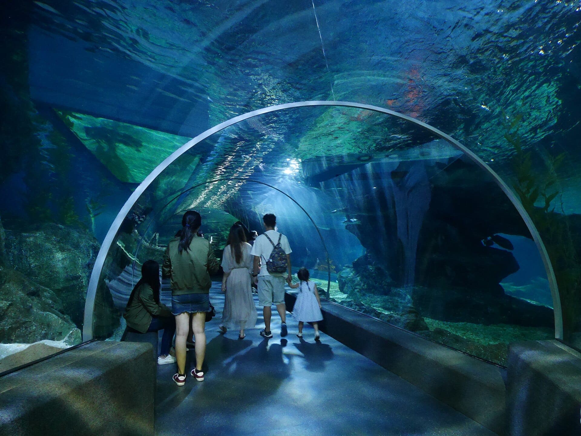 Tunel oceanarium SEA LIFE Bangkok Ocean World z odwiedzającymi spacerującymi pod wodą