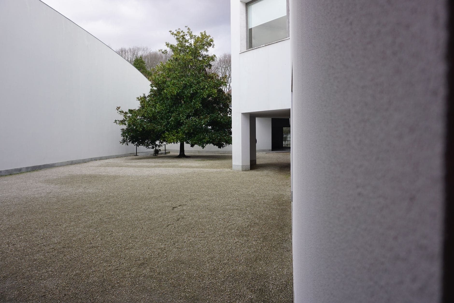 Widok na Muzeum Serralves z zewnątrz — czysta biała modernistyczna architektura, duże okna i drzewo na żwirowym dziedzińcu pod zachmurzonym niebem.
