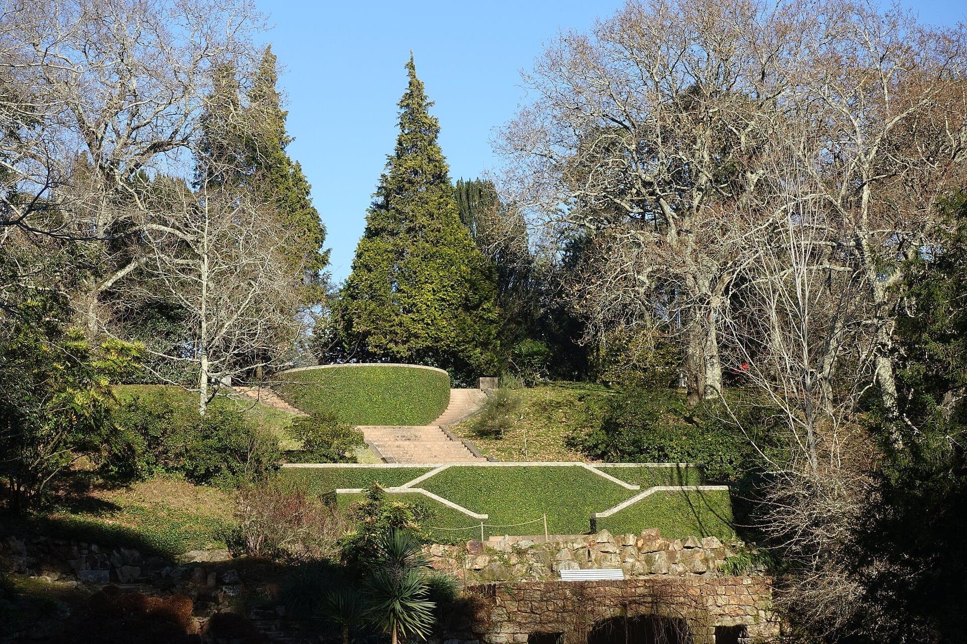Steinstufen und gepflegte Hecken führen einen bewaldeten Hügel im Parque de Serralves hinauf, gerahmt von hohen kahlen Bäumen unter einem klaren blauen Himmel.