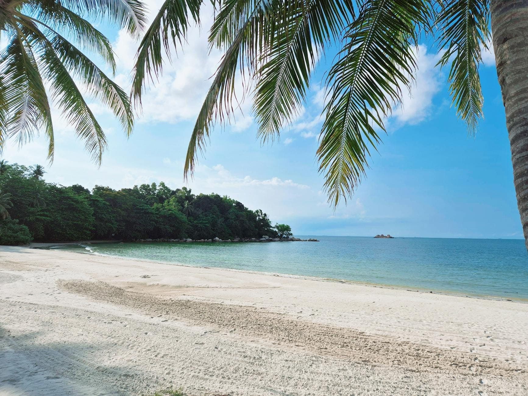 Ein ruhiger tropischer Strand mit weichem Sand, klarem blauem Wasser und Palmen unter einem blauen Himmel an einem ruhigen Tag.